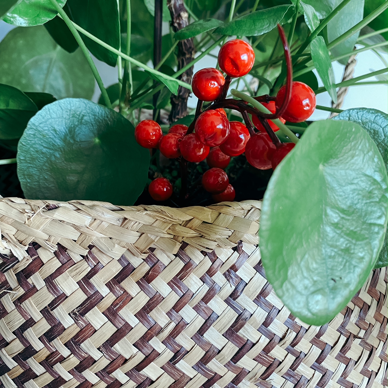 Décorations de Noël