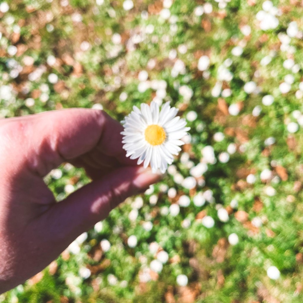 En mots et en images : février&nbsp;2022