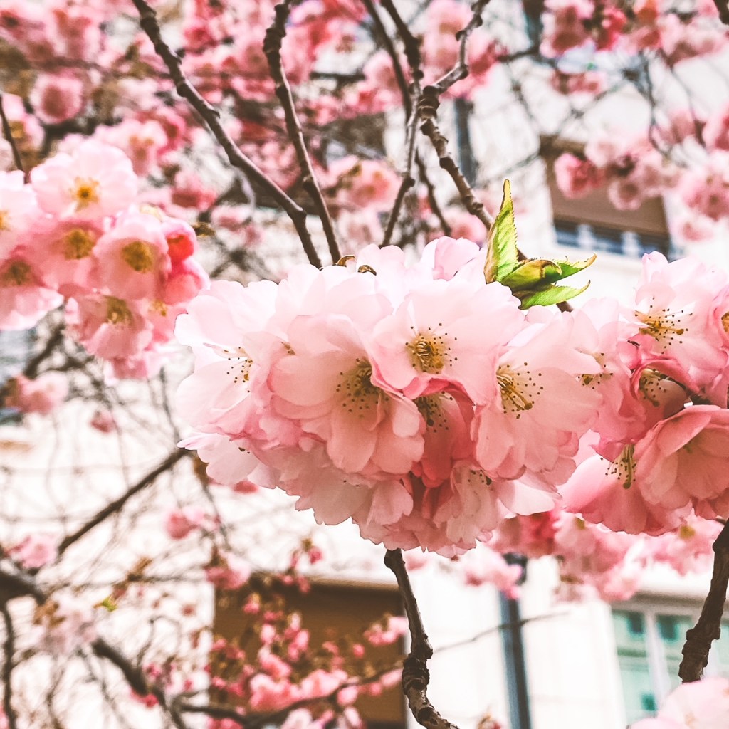 7 choses qui mettent du beau dans la&nbsp;vie