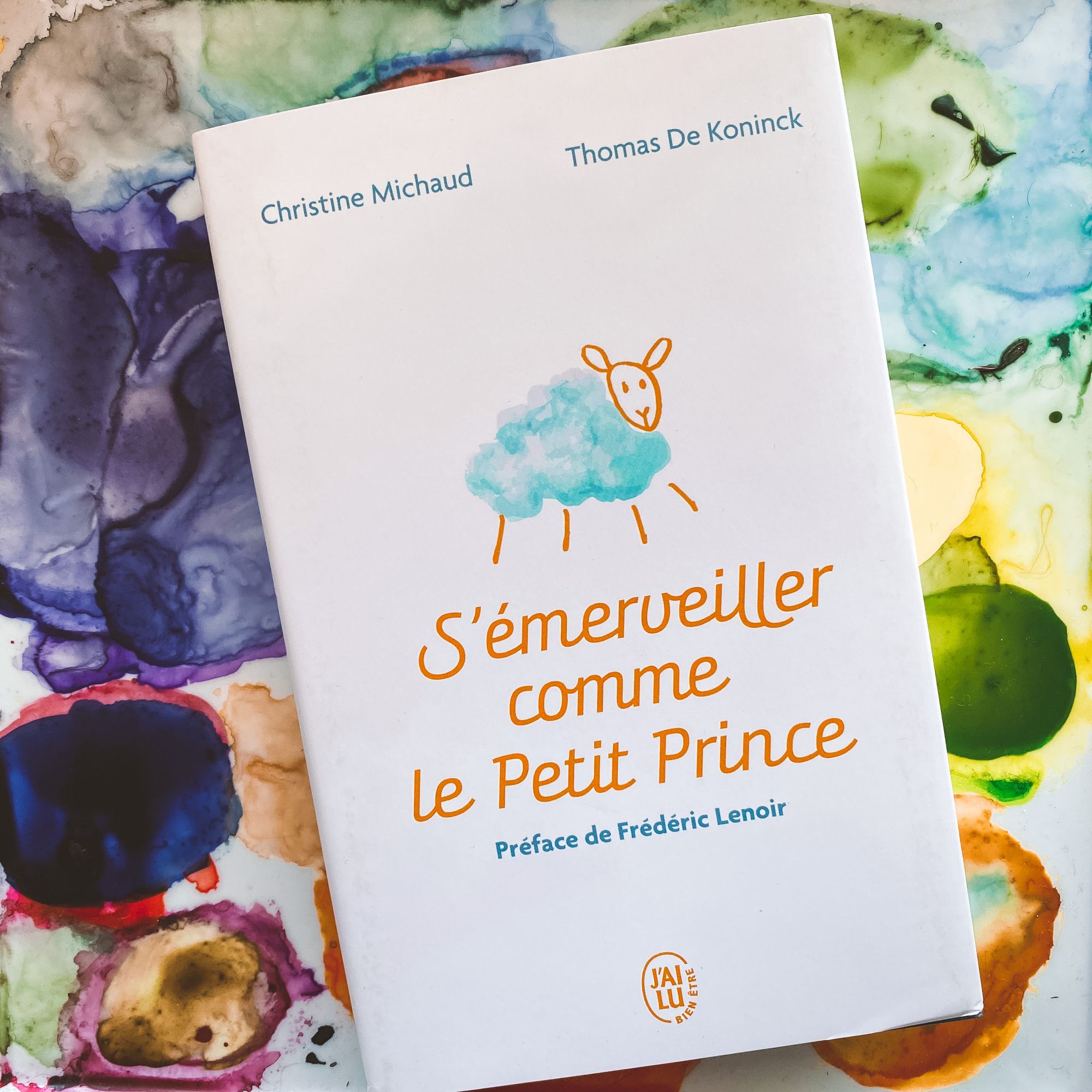 S&rsquo;émerveiller comme le Petit Prince, de Christine Michaud et Thomas De Koninck : habiter poétiquement le monde