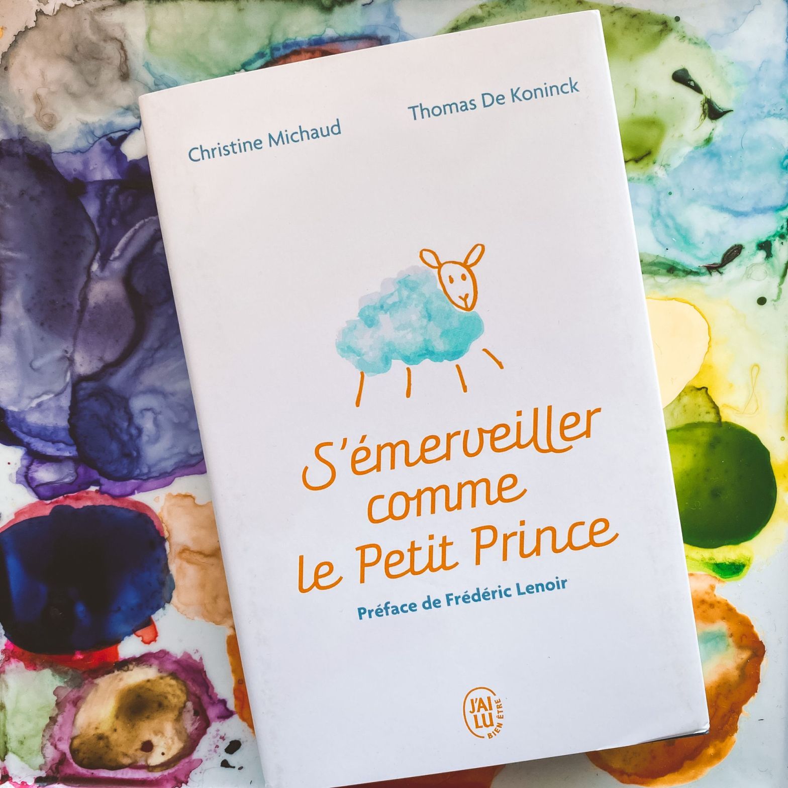 S'émerveiller comme le Petit Prince, de Christine Michaud et Thomas De Koninck : habiter poétiquement le monde