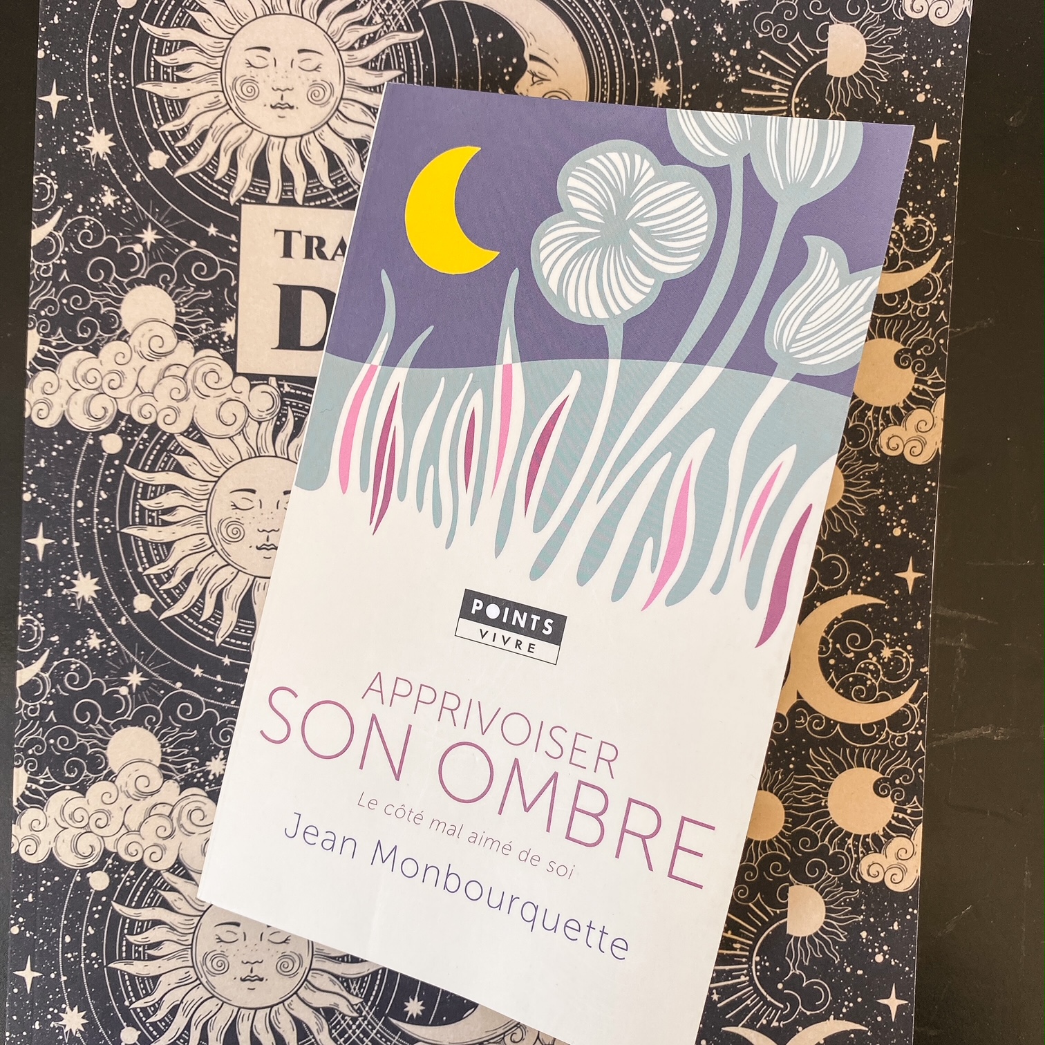Apprivoiser son ombre, de Jean Monbourquette : intégrer le côté mal aimé de soi