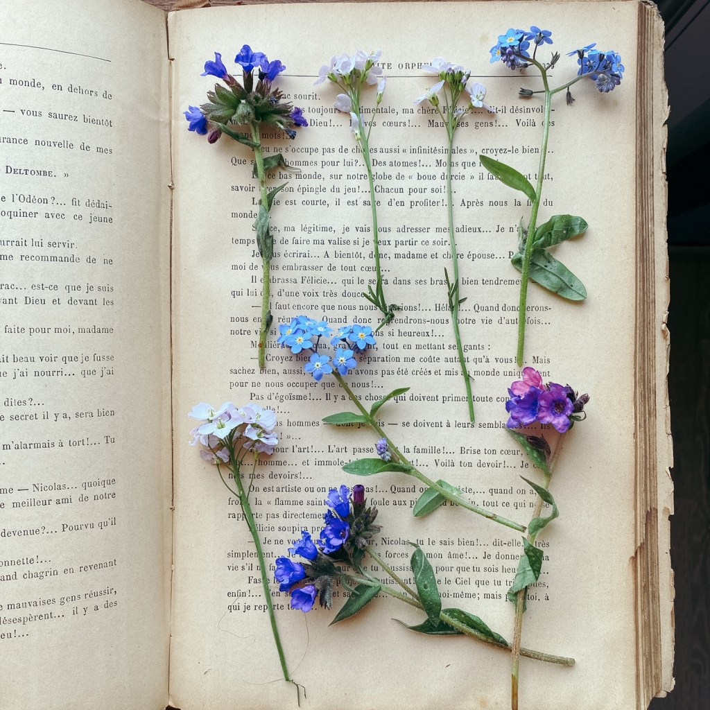 Saisir la fugacité et la beauté du&nbsp;jour…