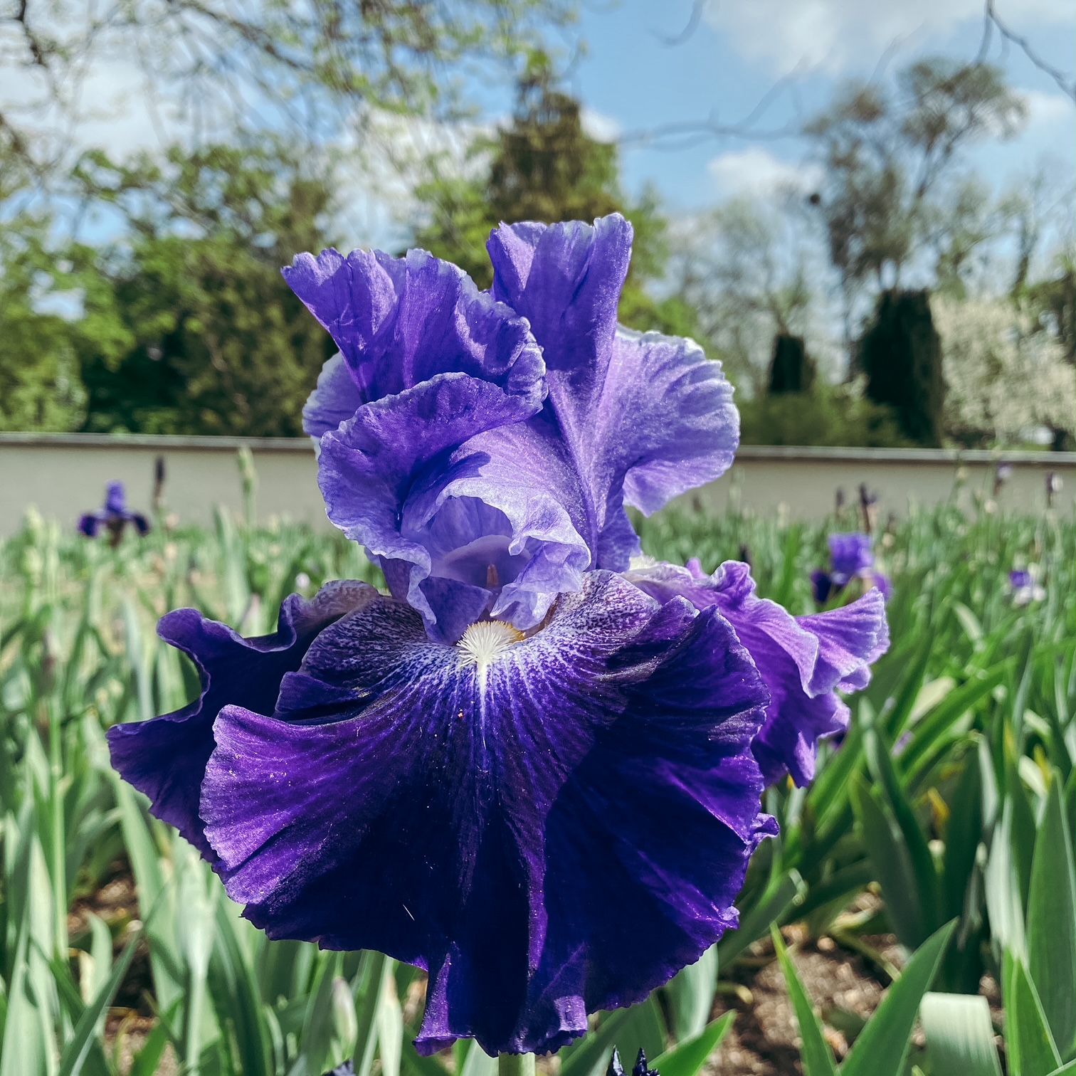 Promenade au parc floral