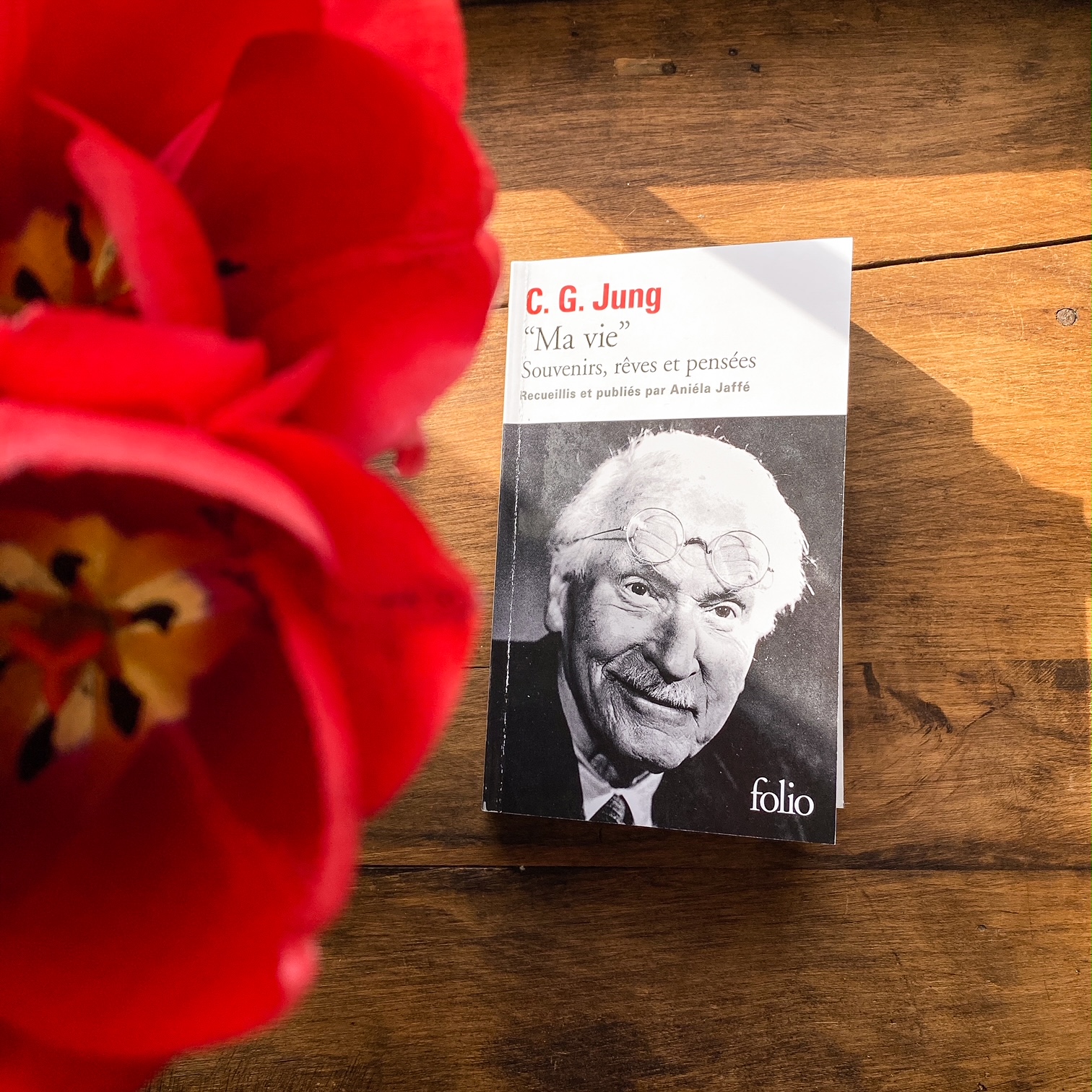 Ma vie. Souvenirs, rêves et pensées de Carl Gustav Jung : mémoires d&rsquo;une âme