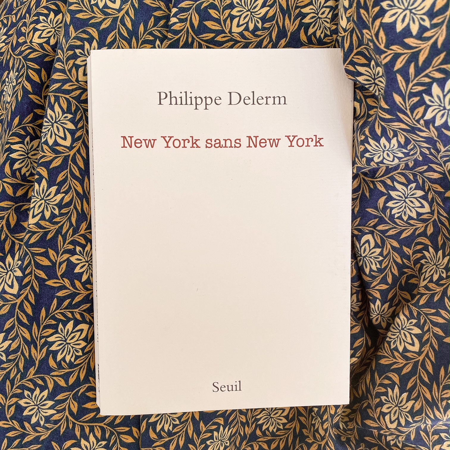 New York sans New York de Philippe Delerm : journal d'antivoyage