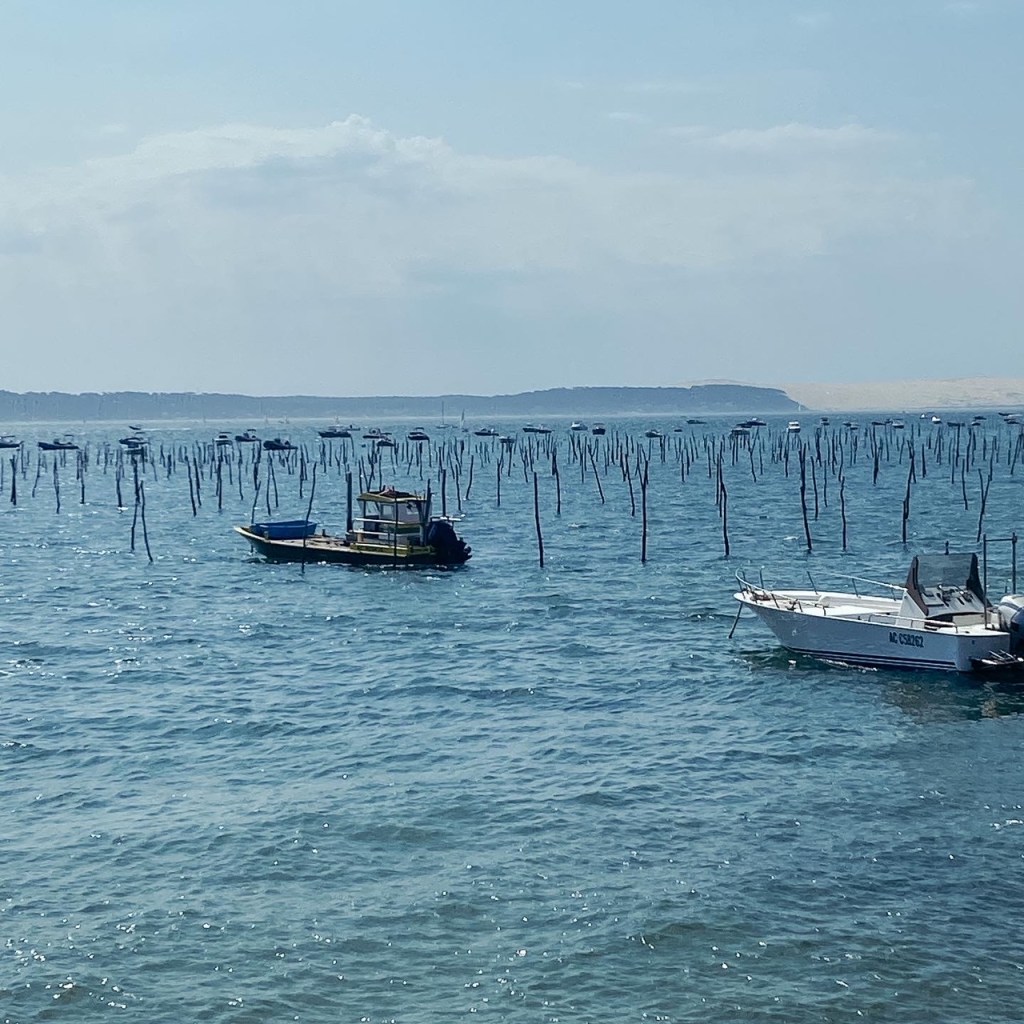 En mots et en images : août&nbsp;2022