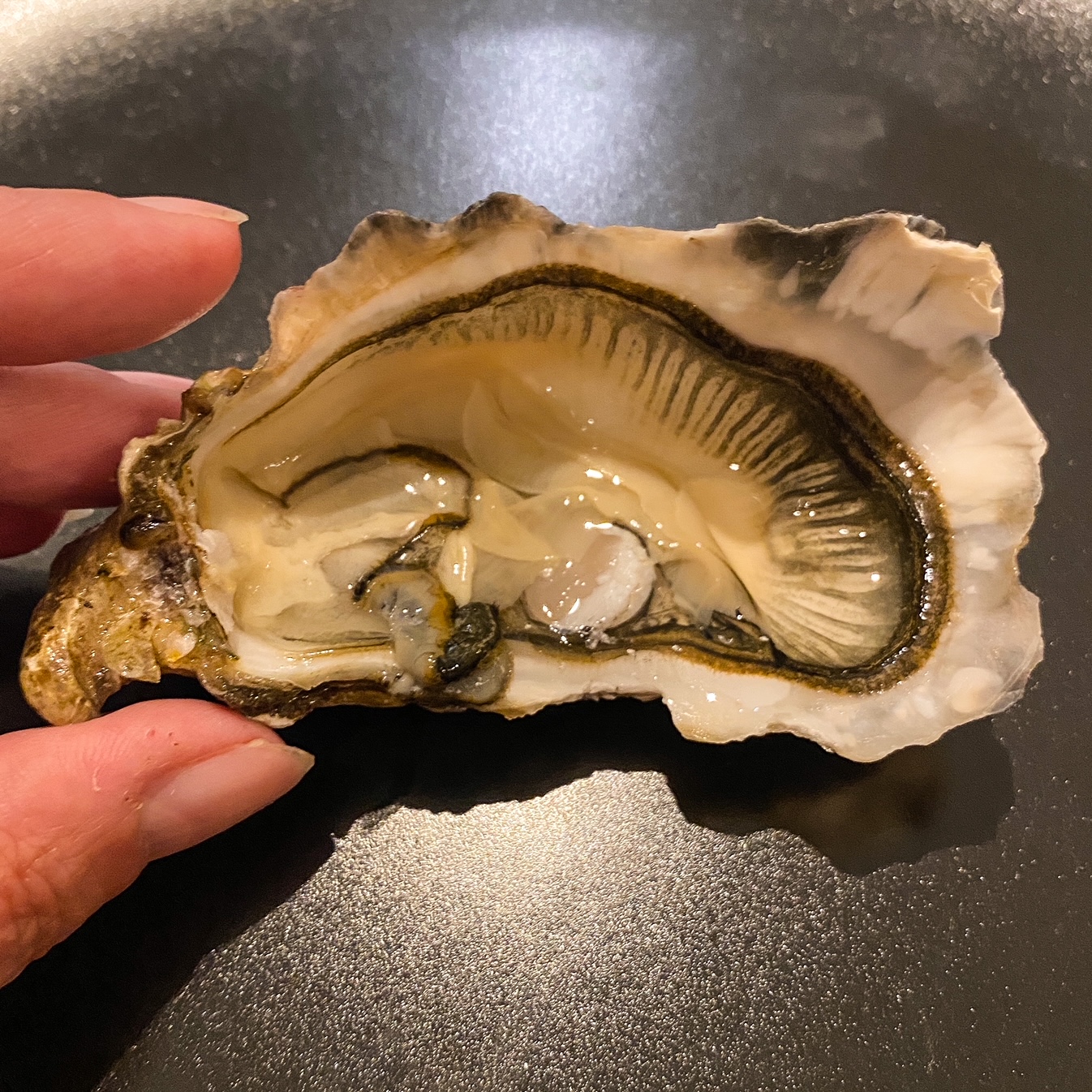 Le jour des huîtres