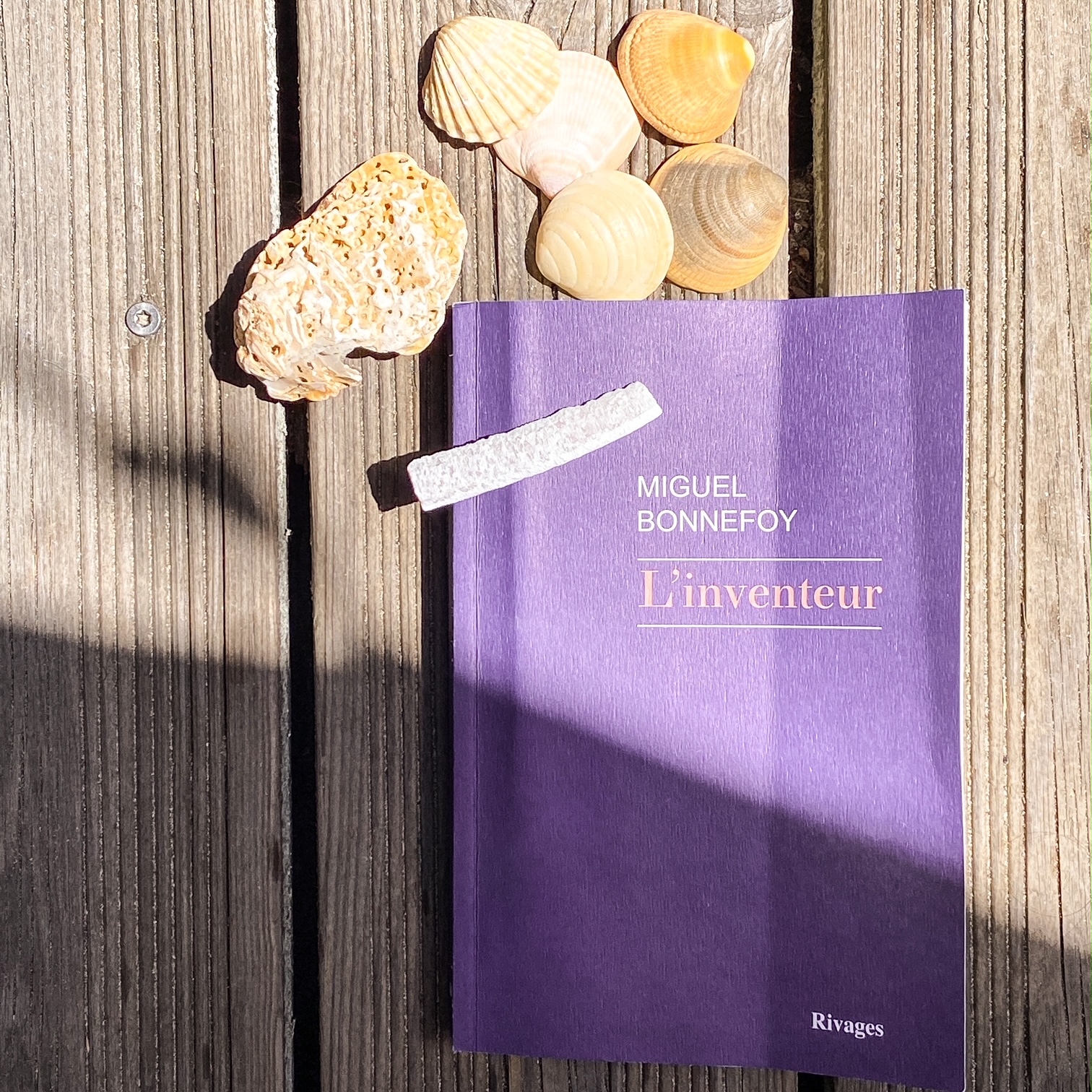 L&rsquo;Inventeur, de Miguel Bonnefoy : conquérir le soleil