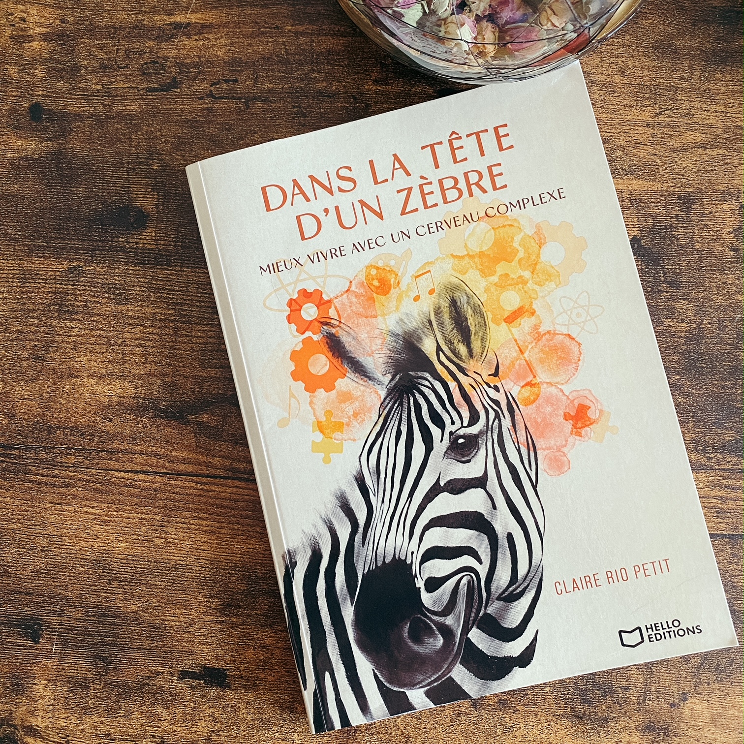 Dans la tête d&rsquo;un zèbre, de Claire Rio Petit : mieux vivre avec un cerveau complexe