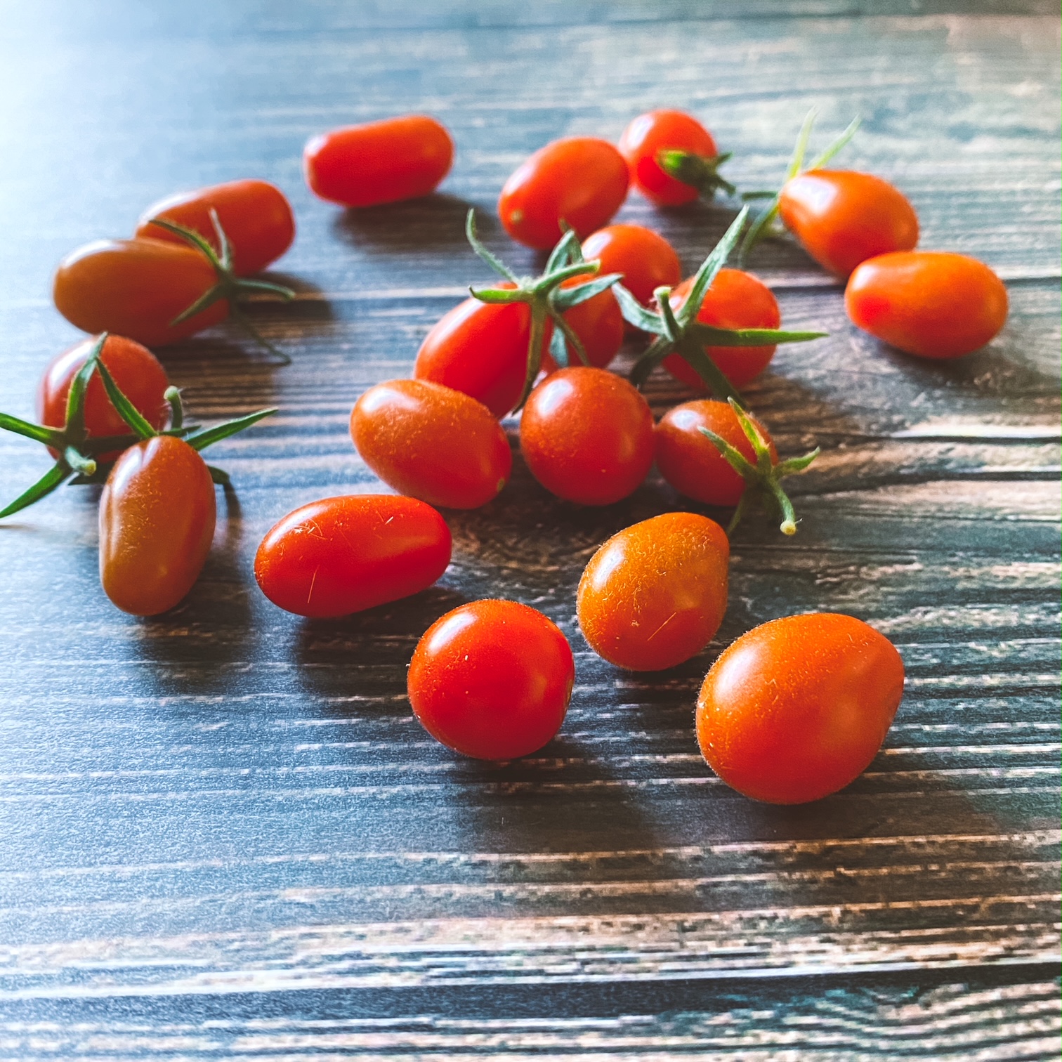 Les dernières tomates