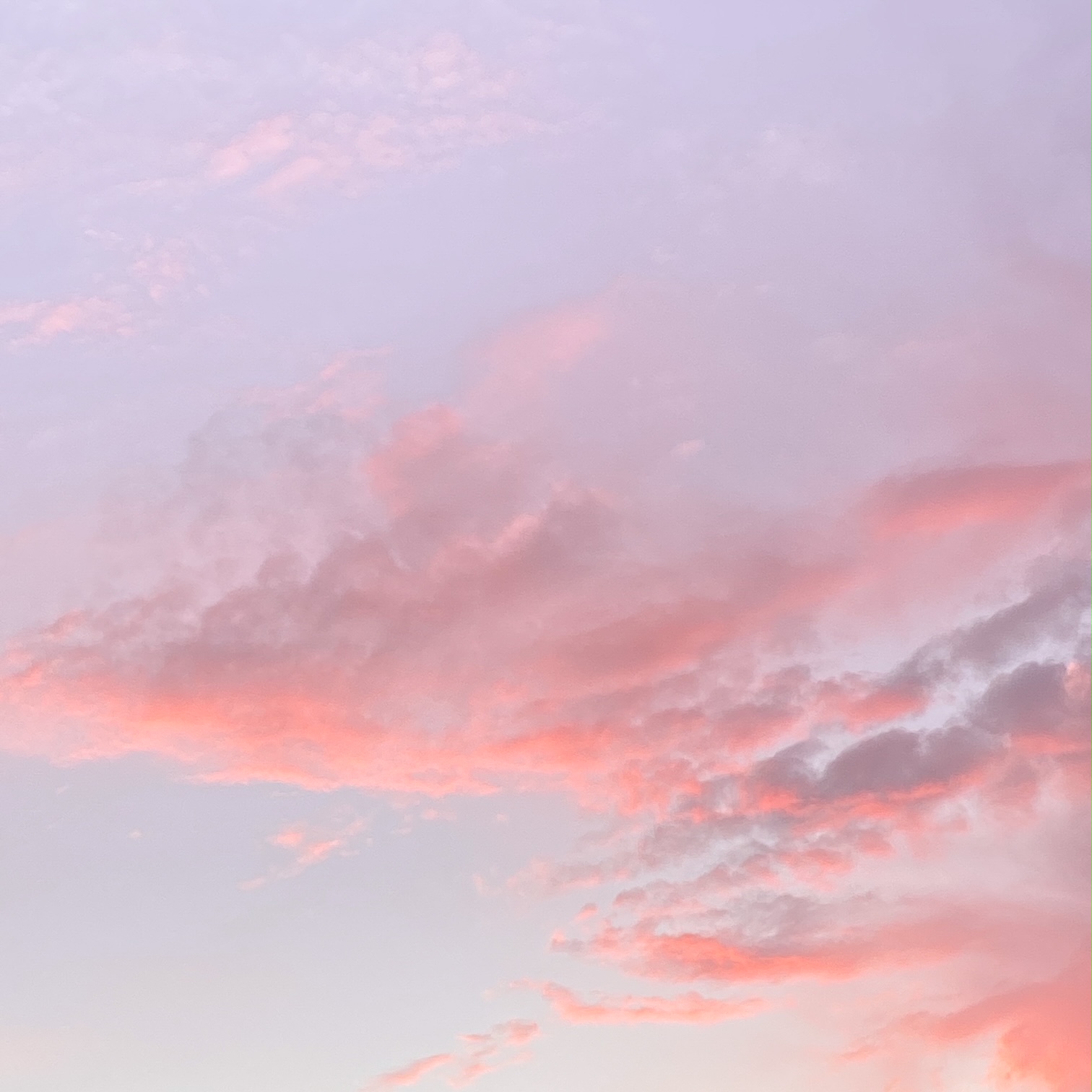 L'avantage de se lever tôt