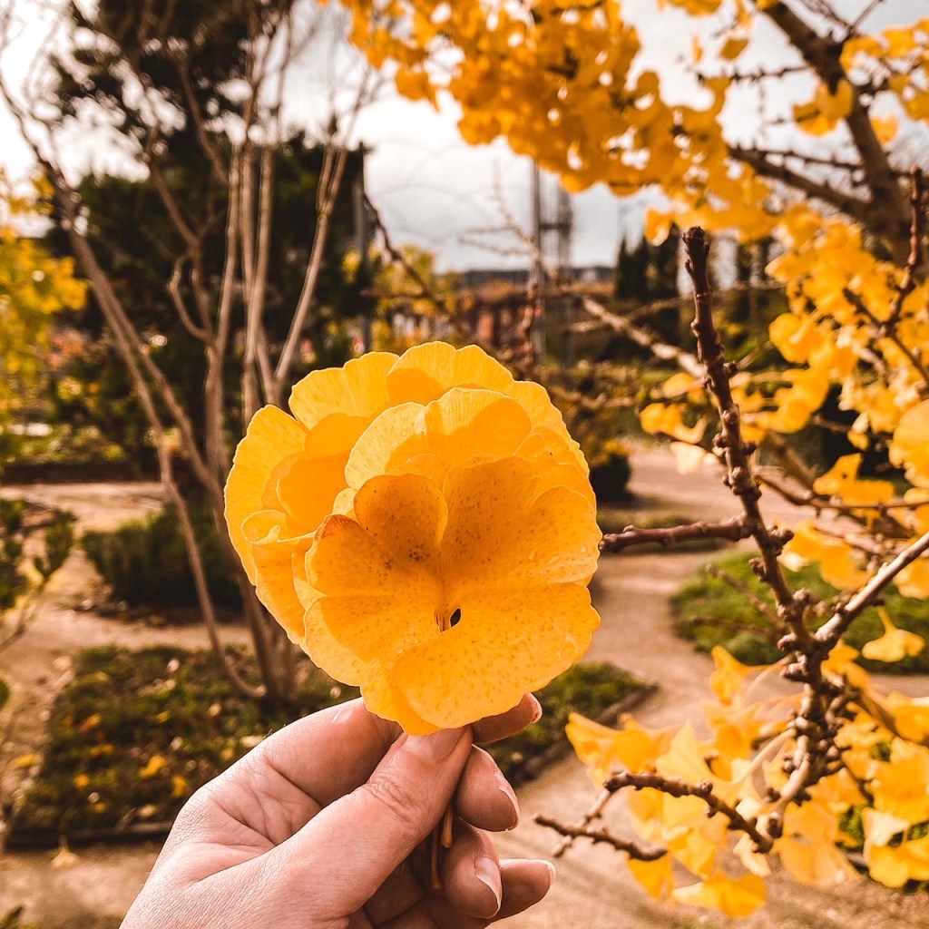 Encore un peu&nbsp;d&rsquo;automne