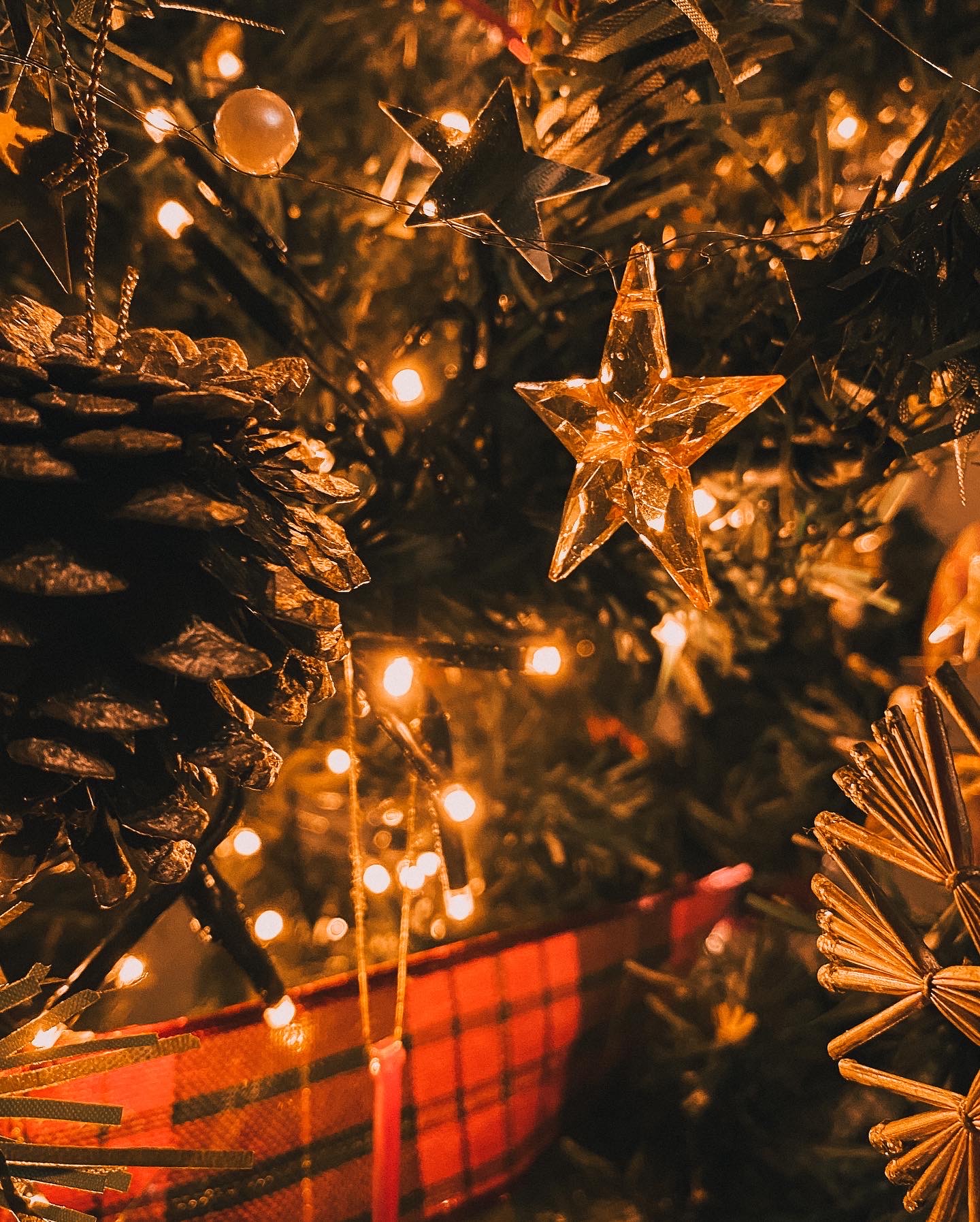 En attendant Noël : décorer le sapin