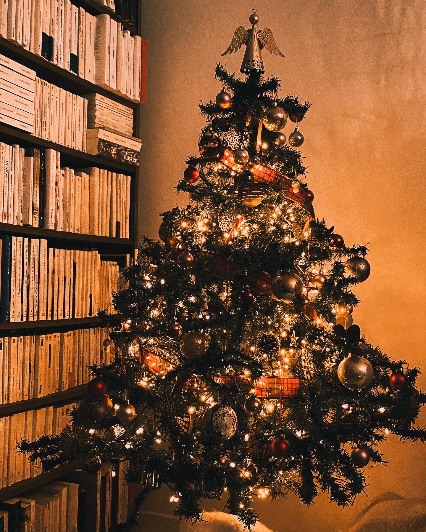En attendant Noël : décorer le sapin