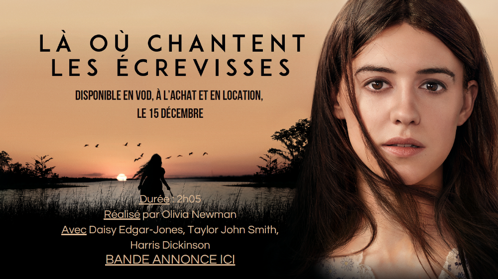 Là où chantent les écrevisses, de Olivia Newman : la fille des marais