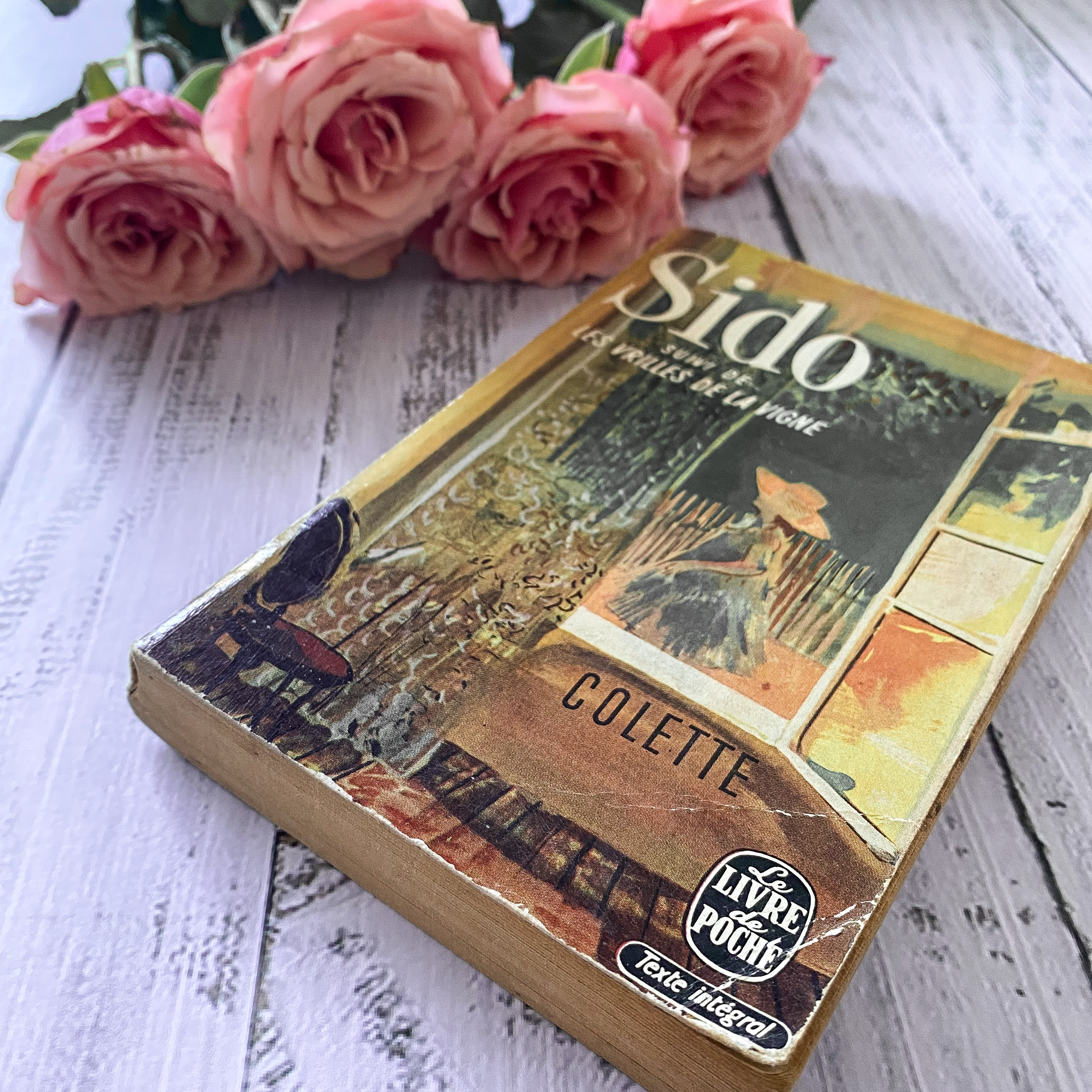 Sido et Les Vrilles de la Vigne, de Colette : la célébration du monde