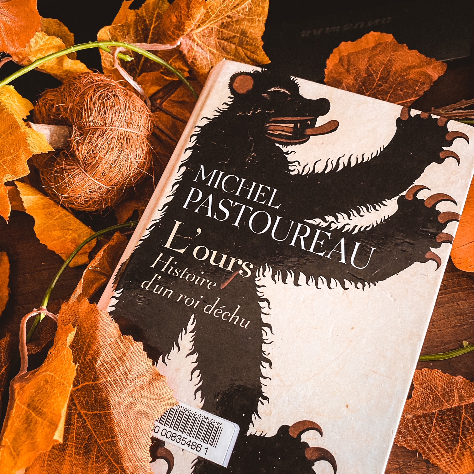 L&rsquo;ours, de Michel Pastoureau : histoire d&rsquo;un roi déchu