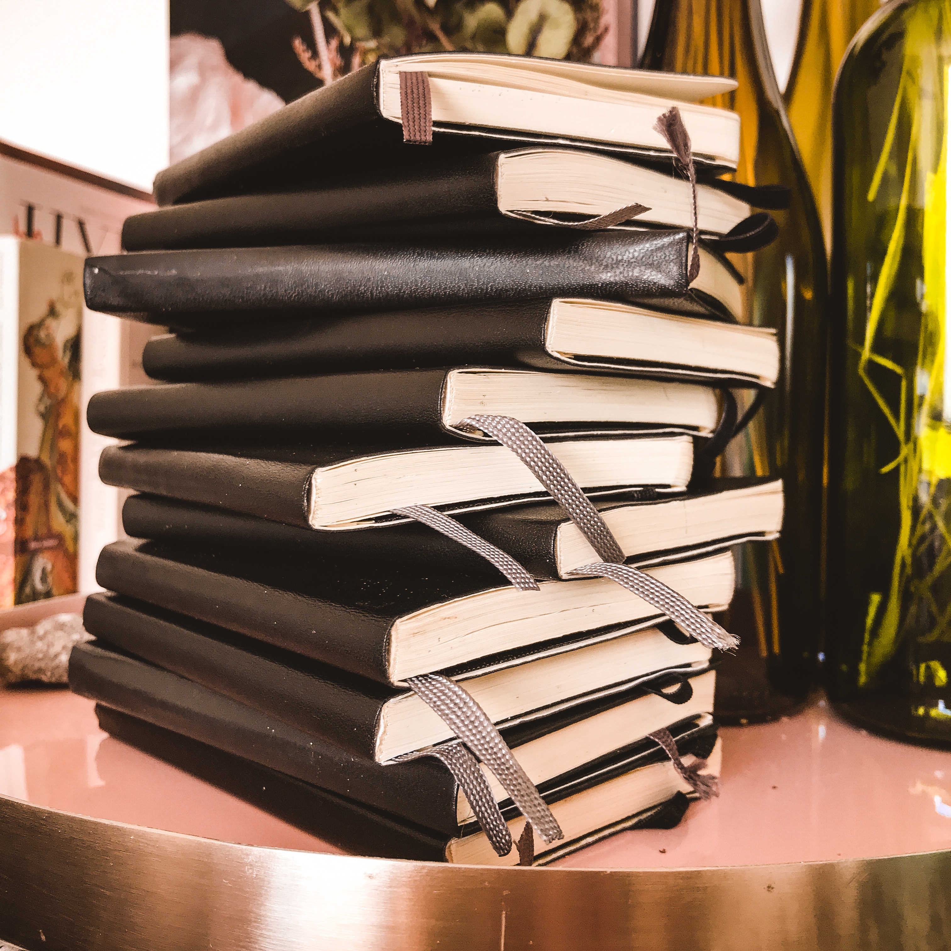 Relire ses journaux (suite)