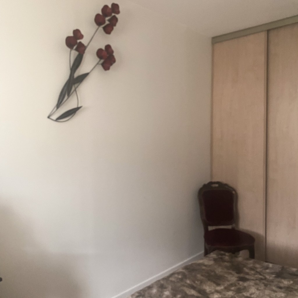 Instantané : chambre boudoir