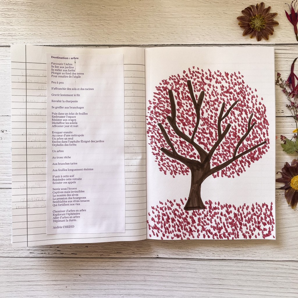 Instantané : cahier de poésies