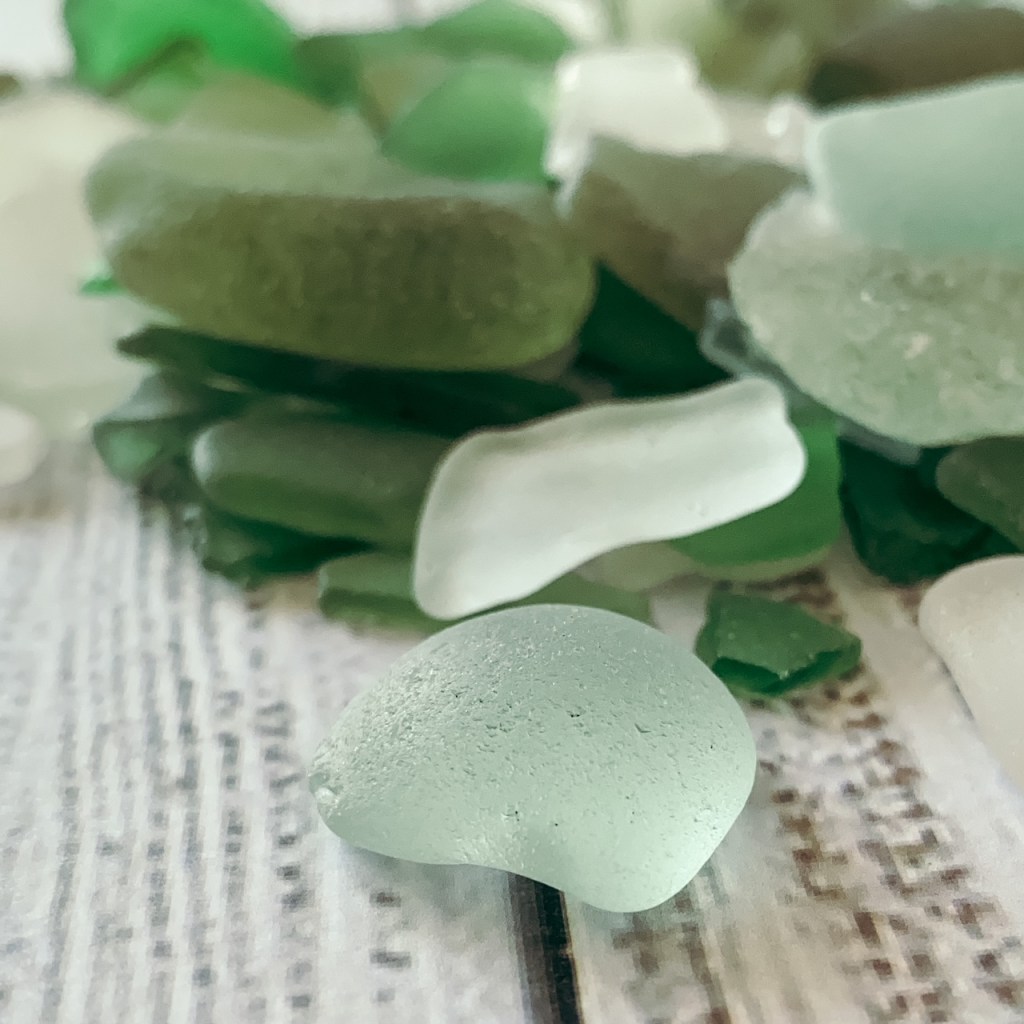 Trésors de la&nbsp;mer