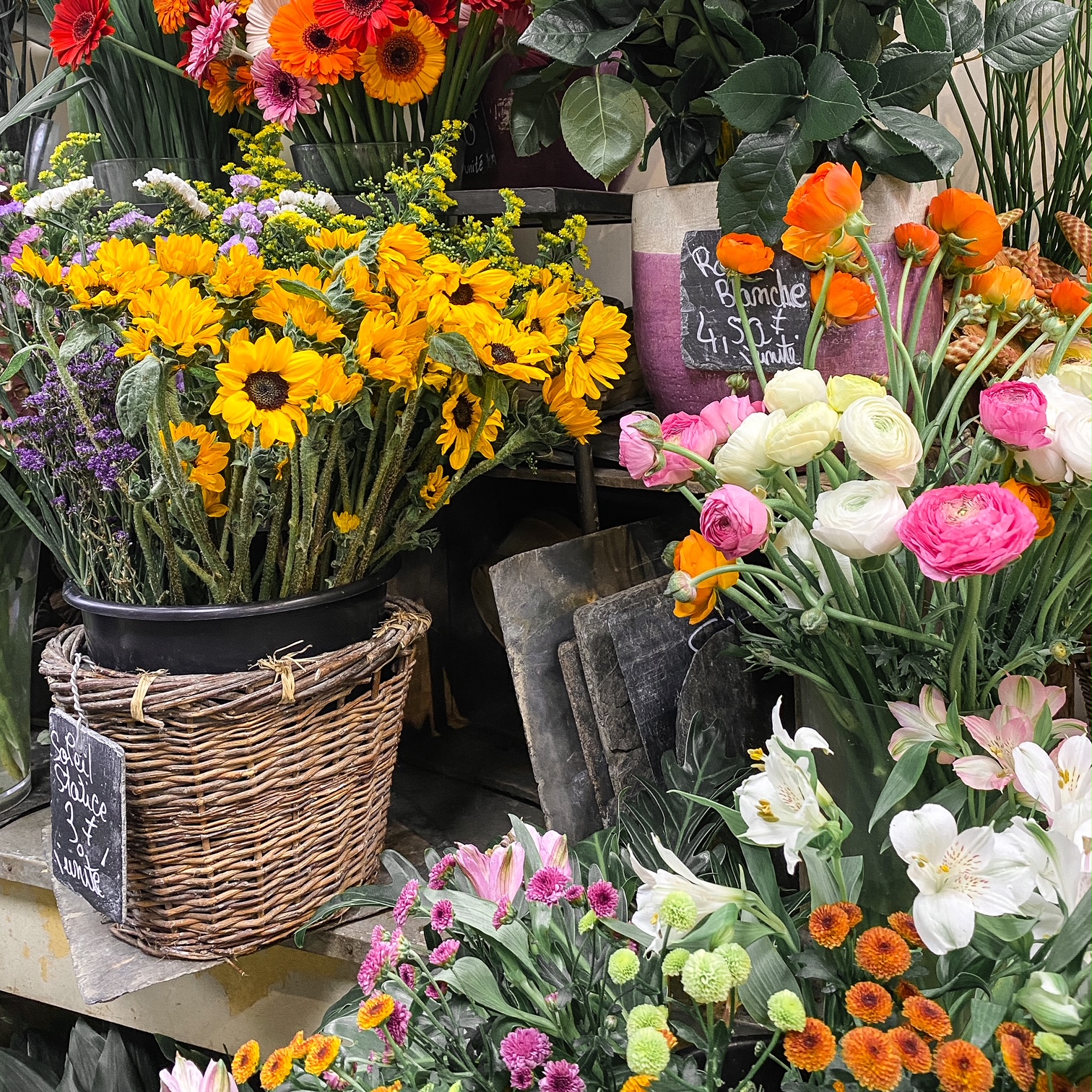 Dans un grand vent de fleurs