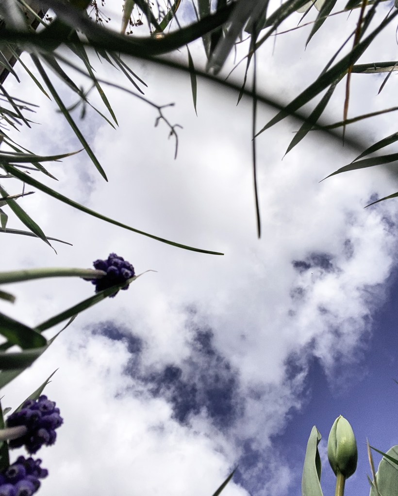 Changer de point de vue