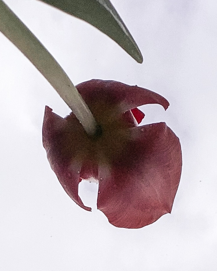 Changer de point de&nbsp;vue