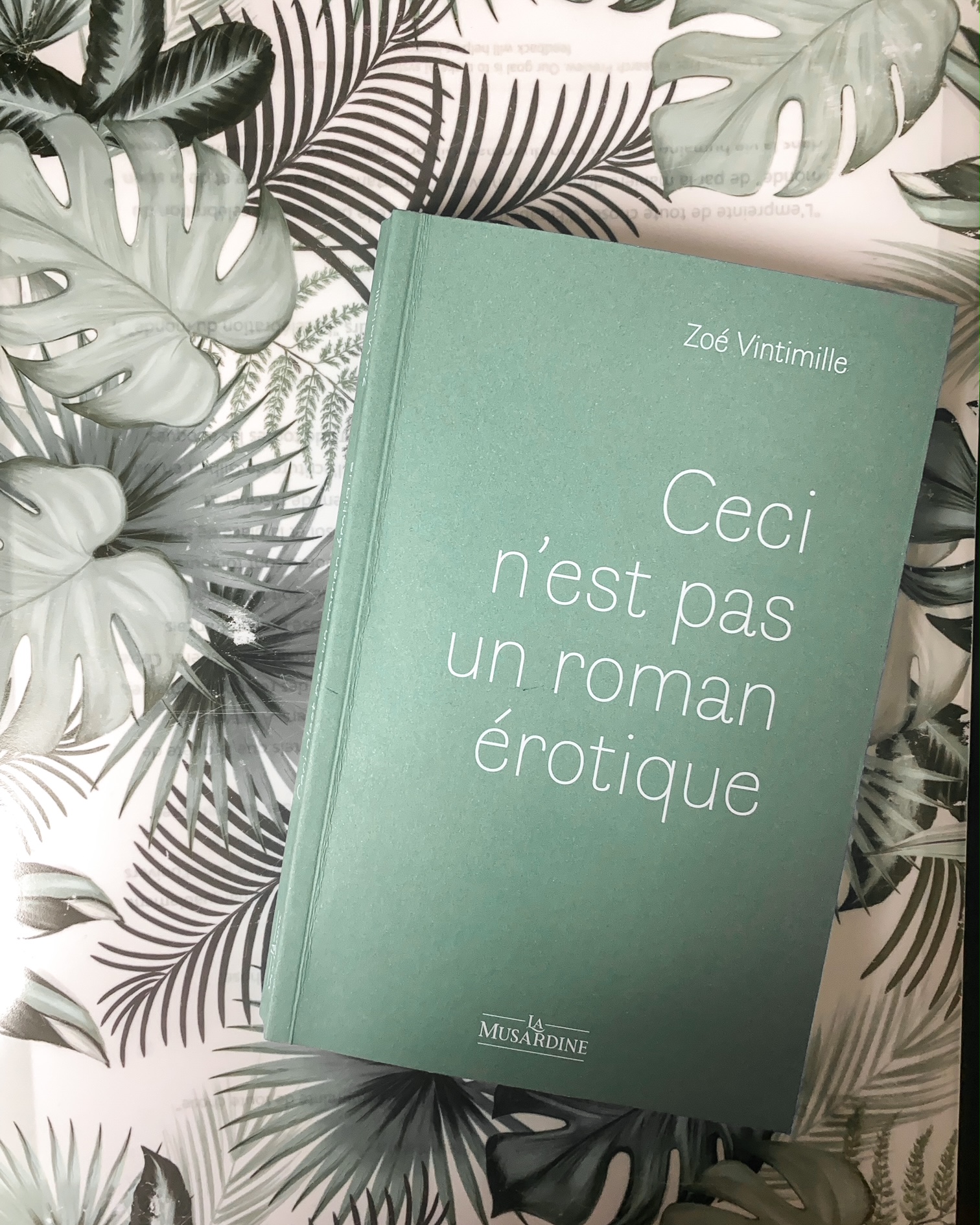 Ceci n&rsquo;est pas un roman érotique, de Zoé Vintimille : suivre le fil