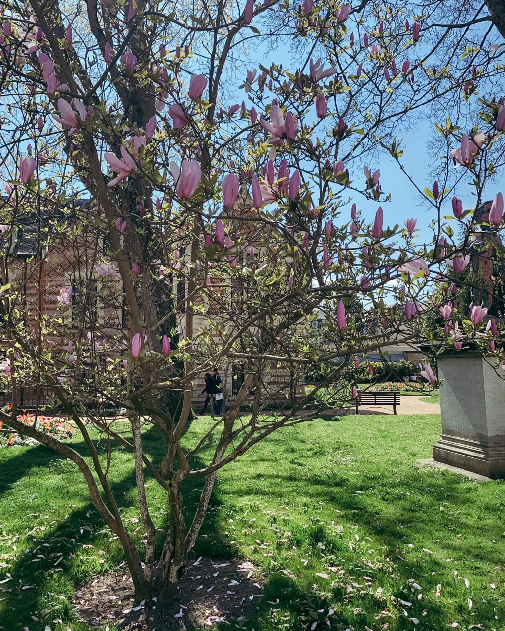 C&rsquo;est joli, tout de même,&nbsp;Orléans