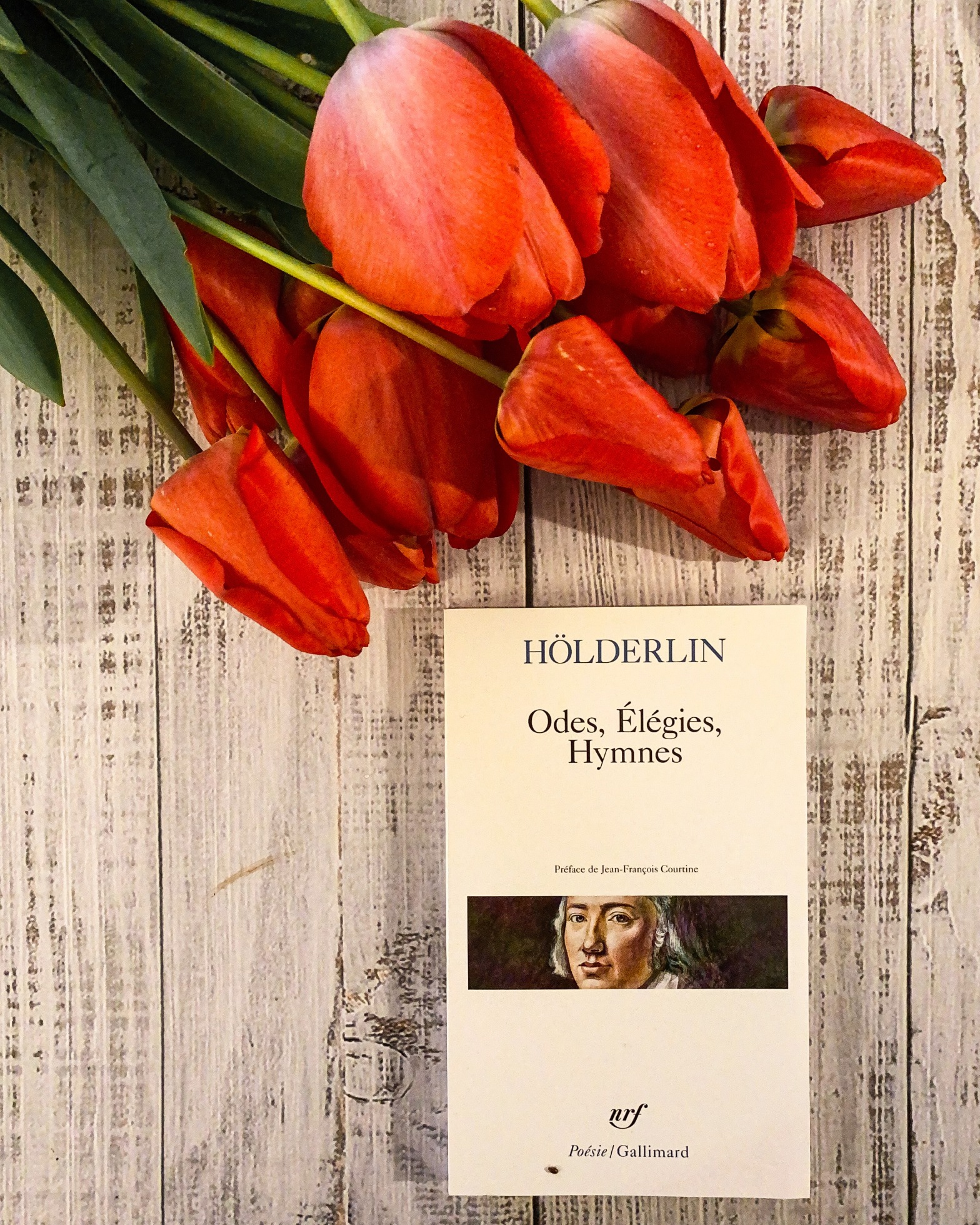 Odes, Elégies, Hymnes de Friedrich Hölderlin : habiter poétiquement le monde