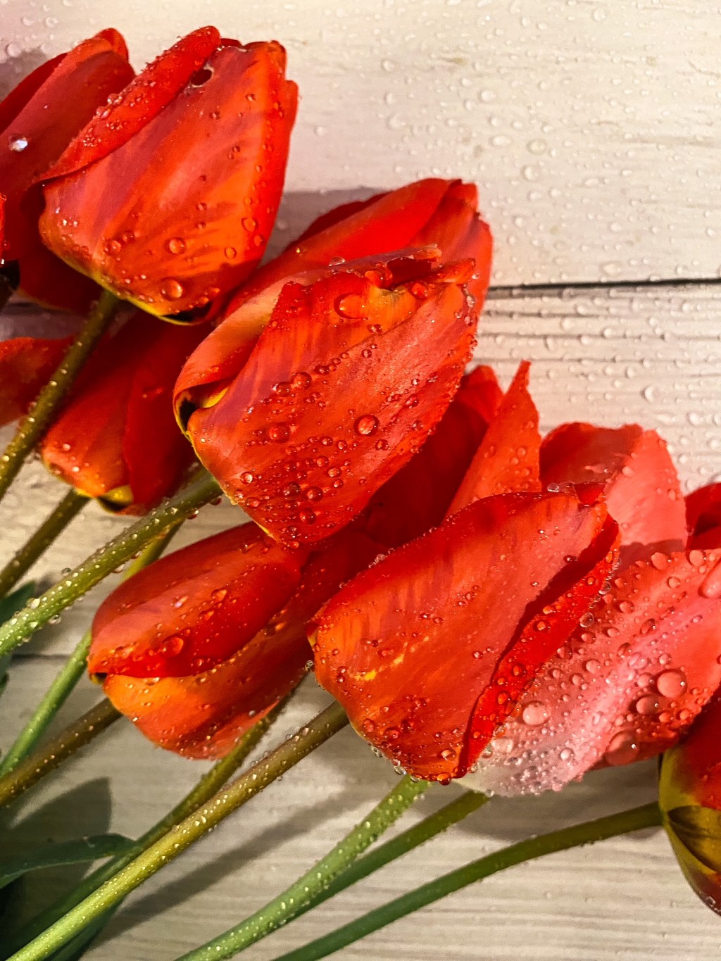 L&rsquo;arcane sans nom : élaguer ce qui ne sert&nbsp;plus