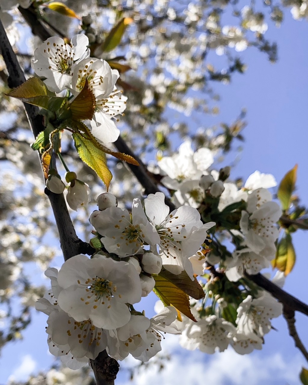 En mots et en images : avril&nbsp;2023