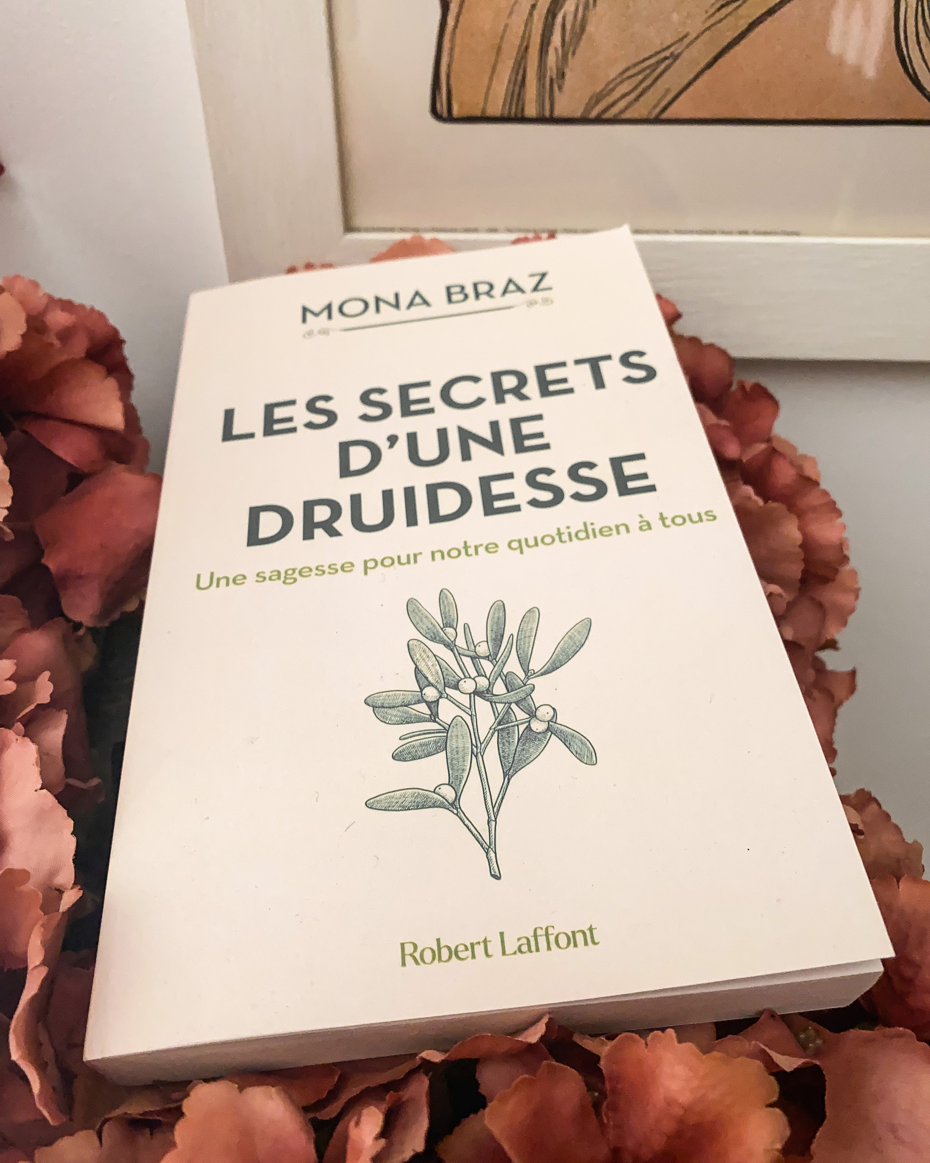 Les secrets d&rsquo;une druidesse, de Mona Braz : une sagesse pour notre quotidien à tous