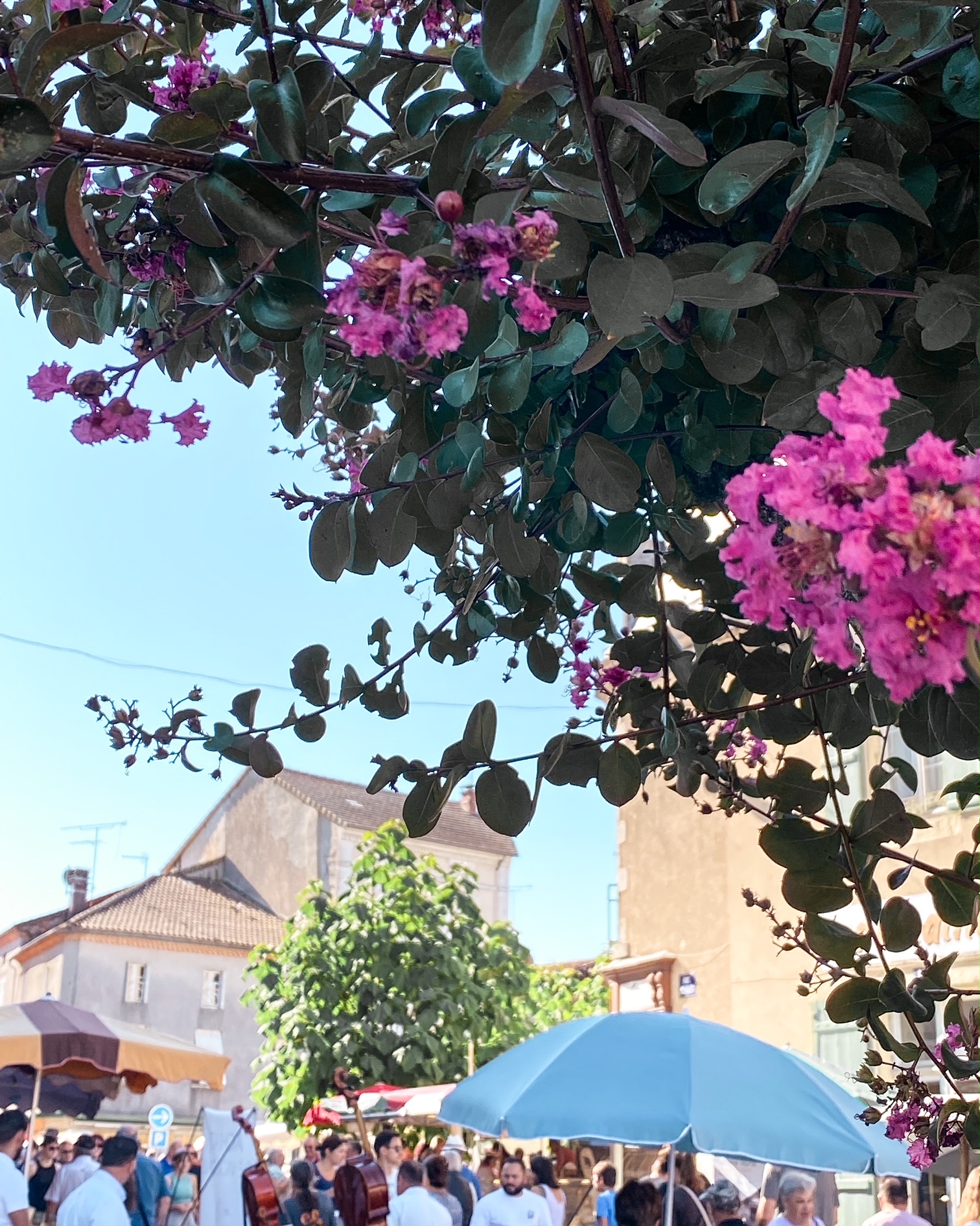 Le marché de Piégut-Pluviers