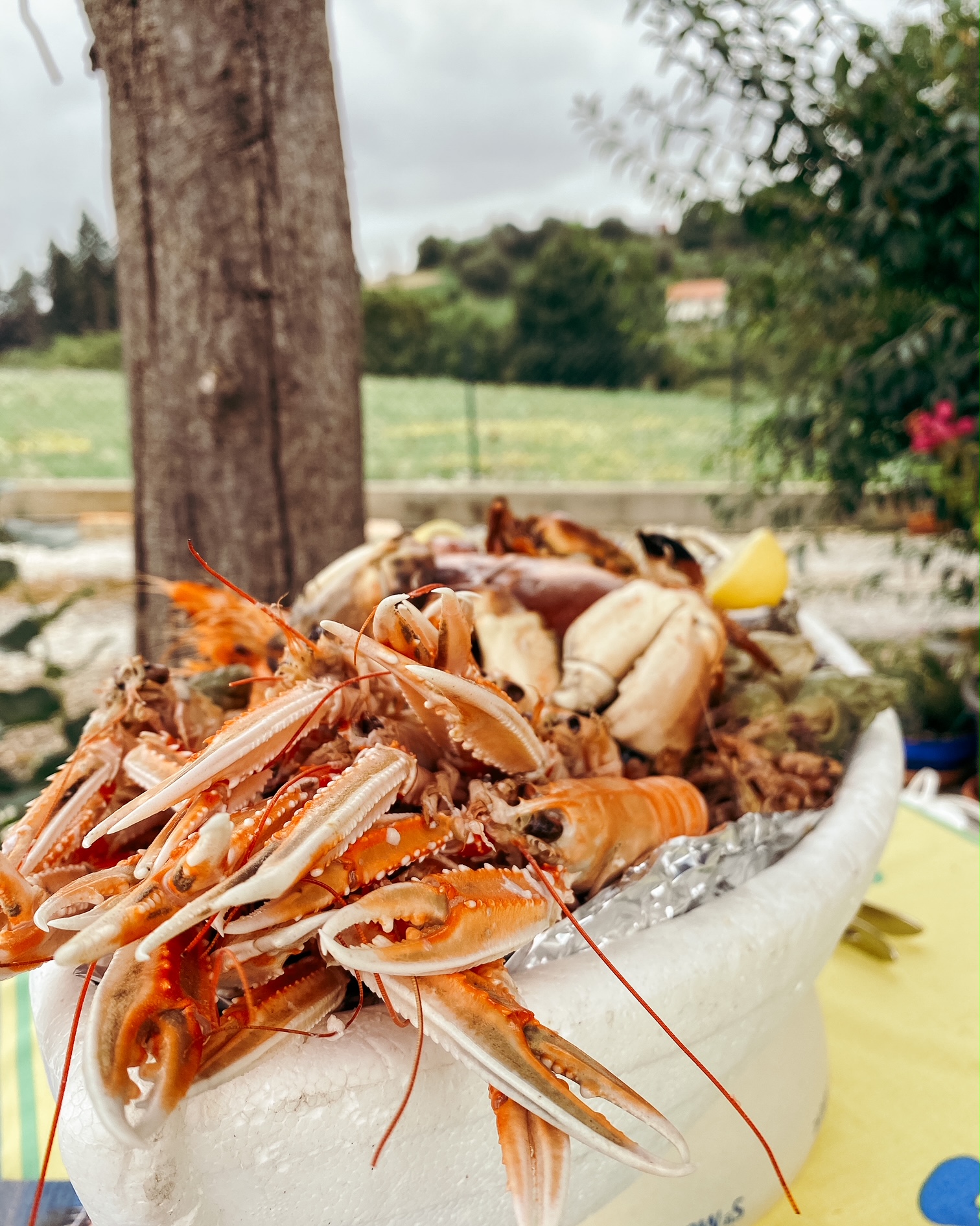 Plateau de fruits de mer