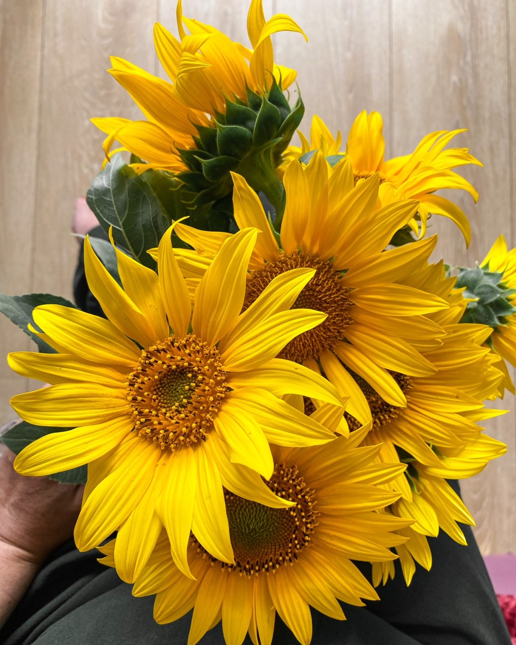 Instantané : rentrer chez&nbsp;soi