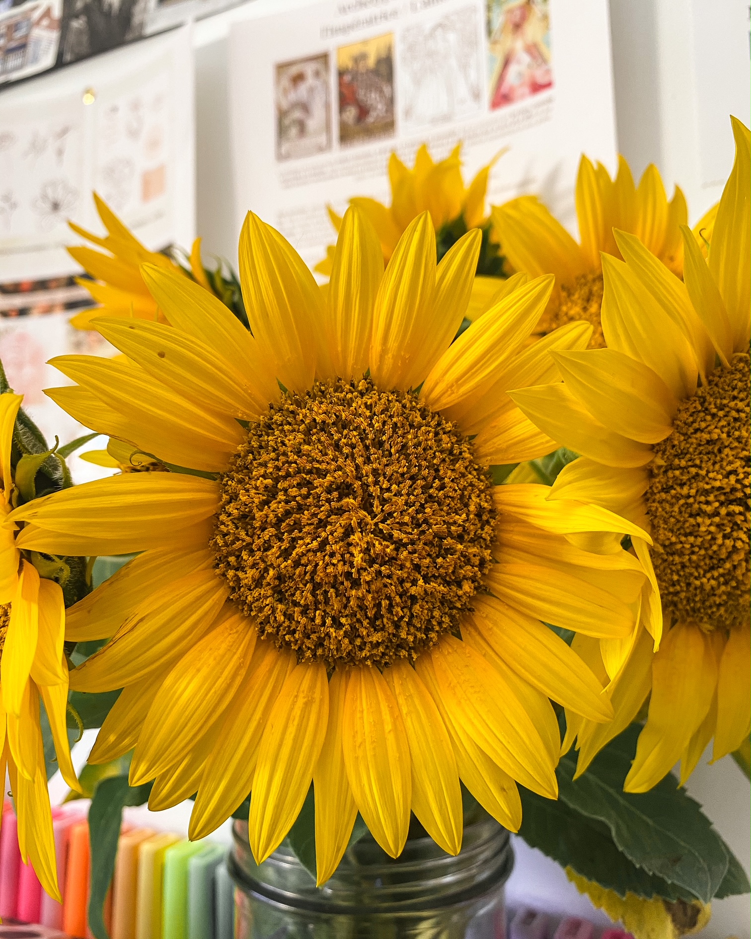 Le miracle du tournesol