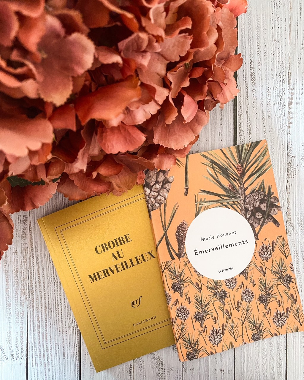 Emerveillements, de Marie Rouanet : toutes les jolies choses du&nbsp;monde