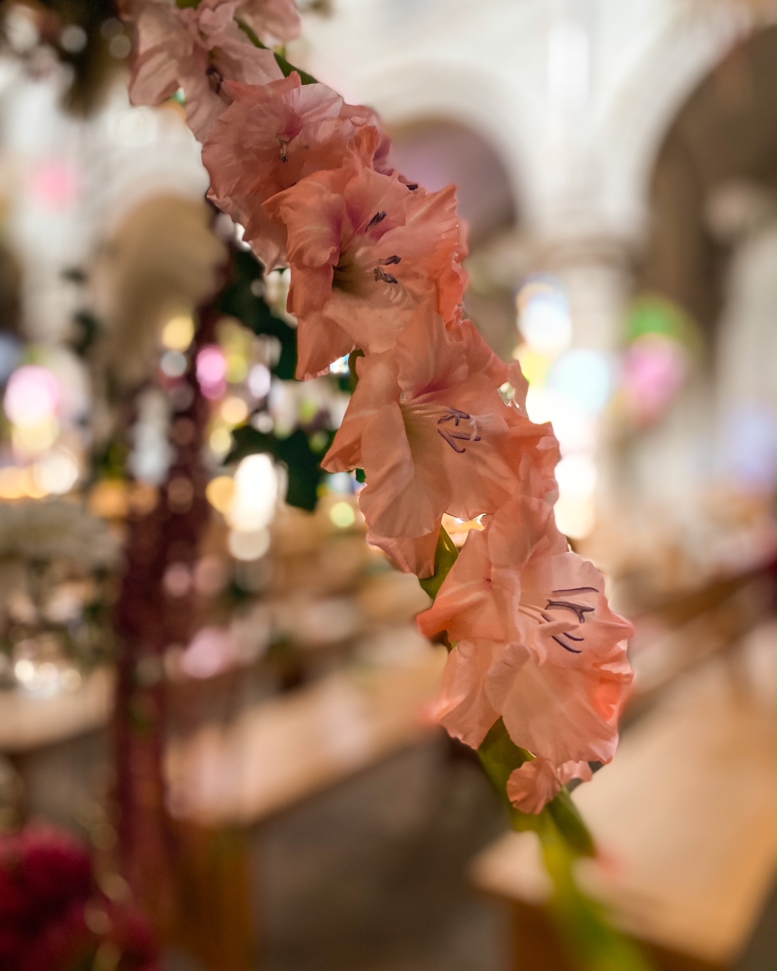 Des fleurs, des fleurs, des fleurs : Saint-Fiacre 2023