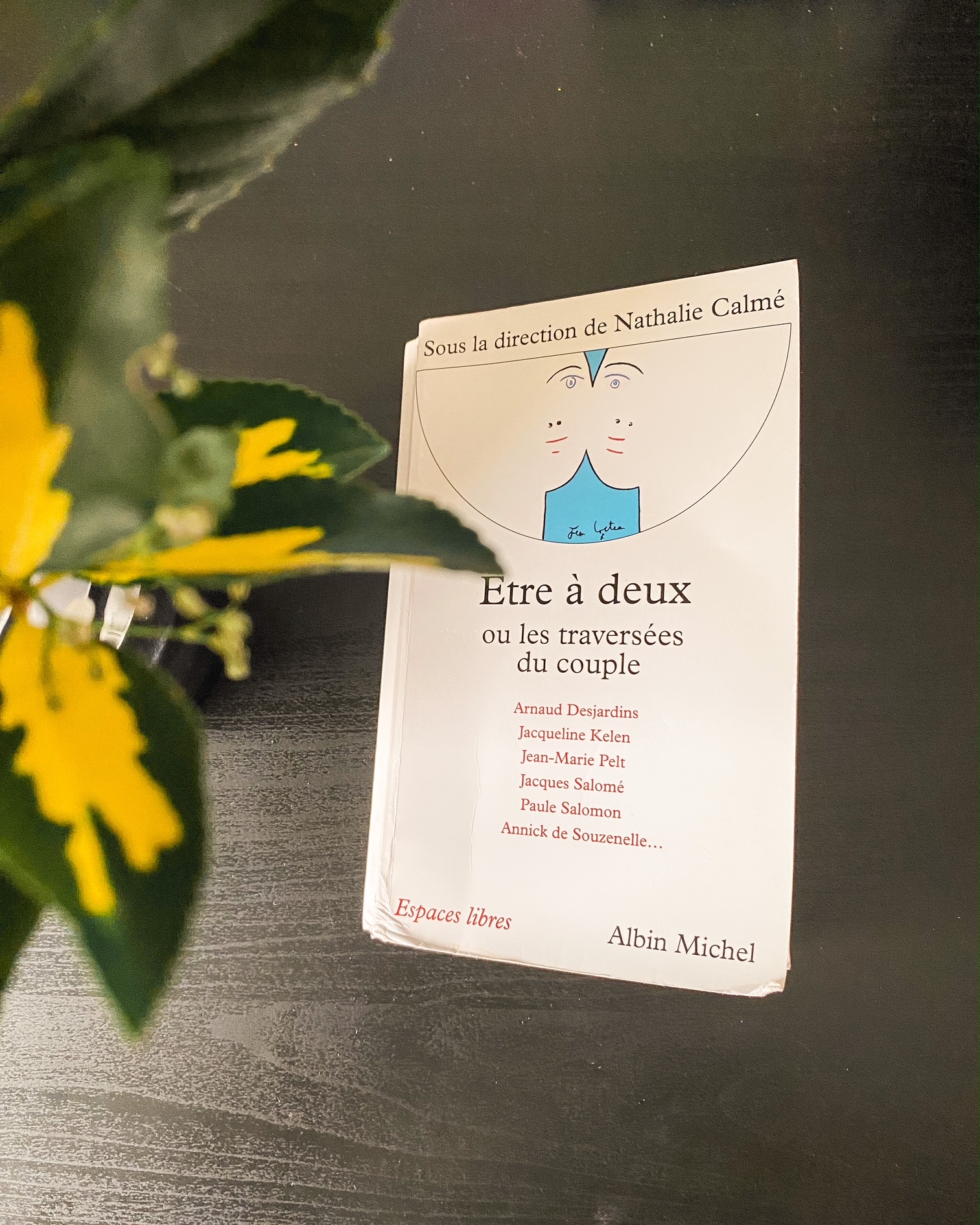 Etre à deux ou les traversées du couple