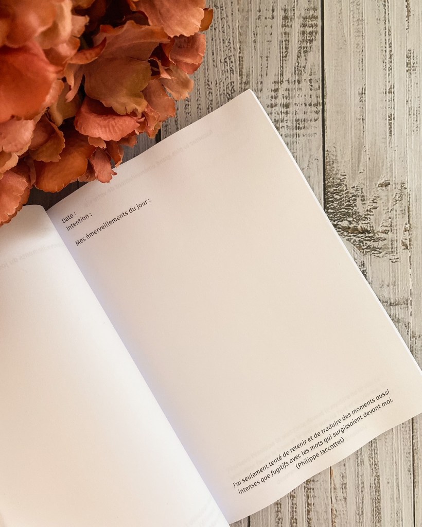 Journal d'émerveillement