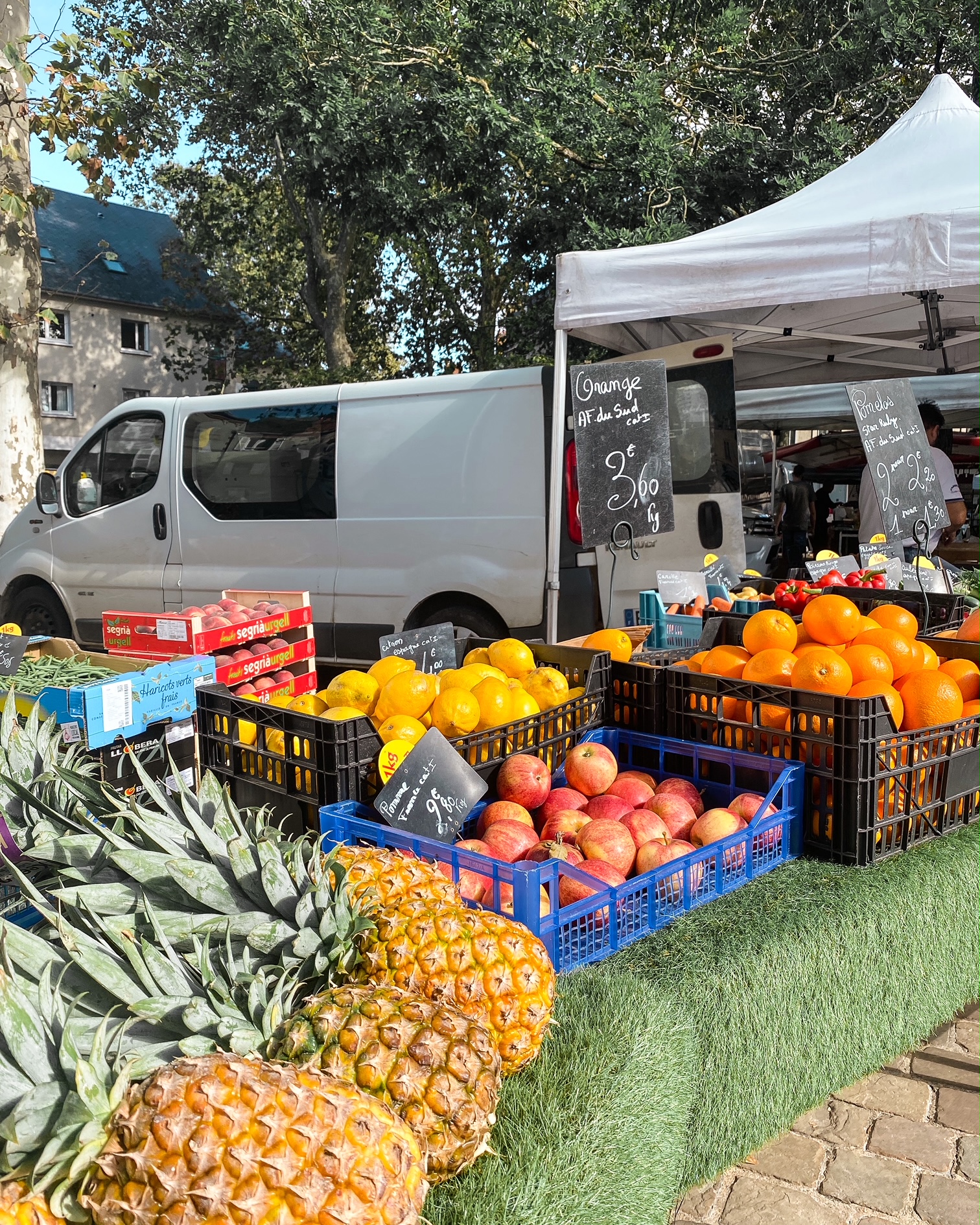 Un étal de fruits et légumes dans un marché