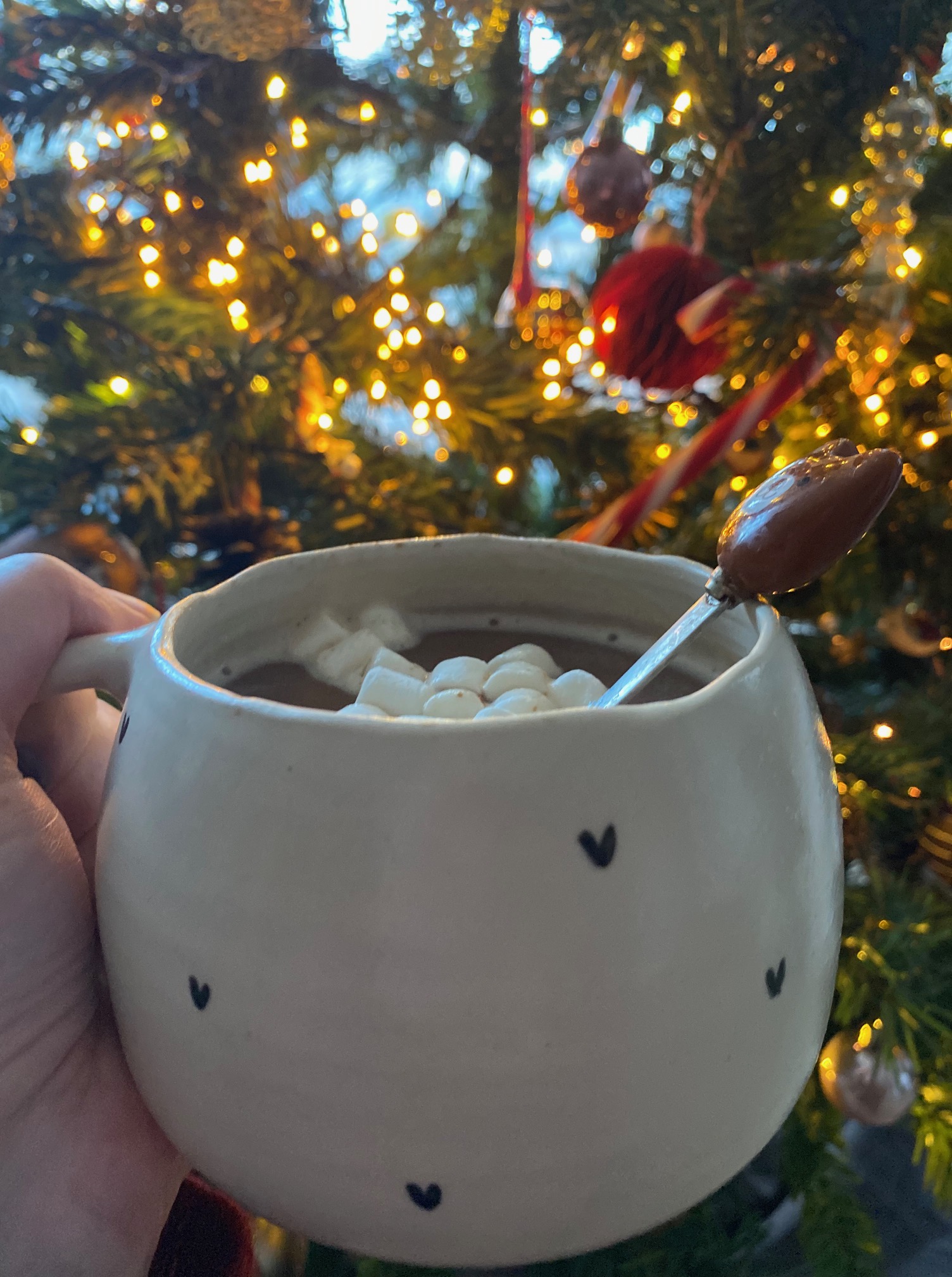 Les lumières de Noël