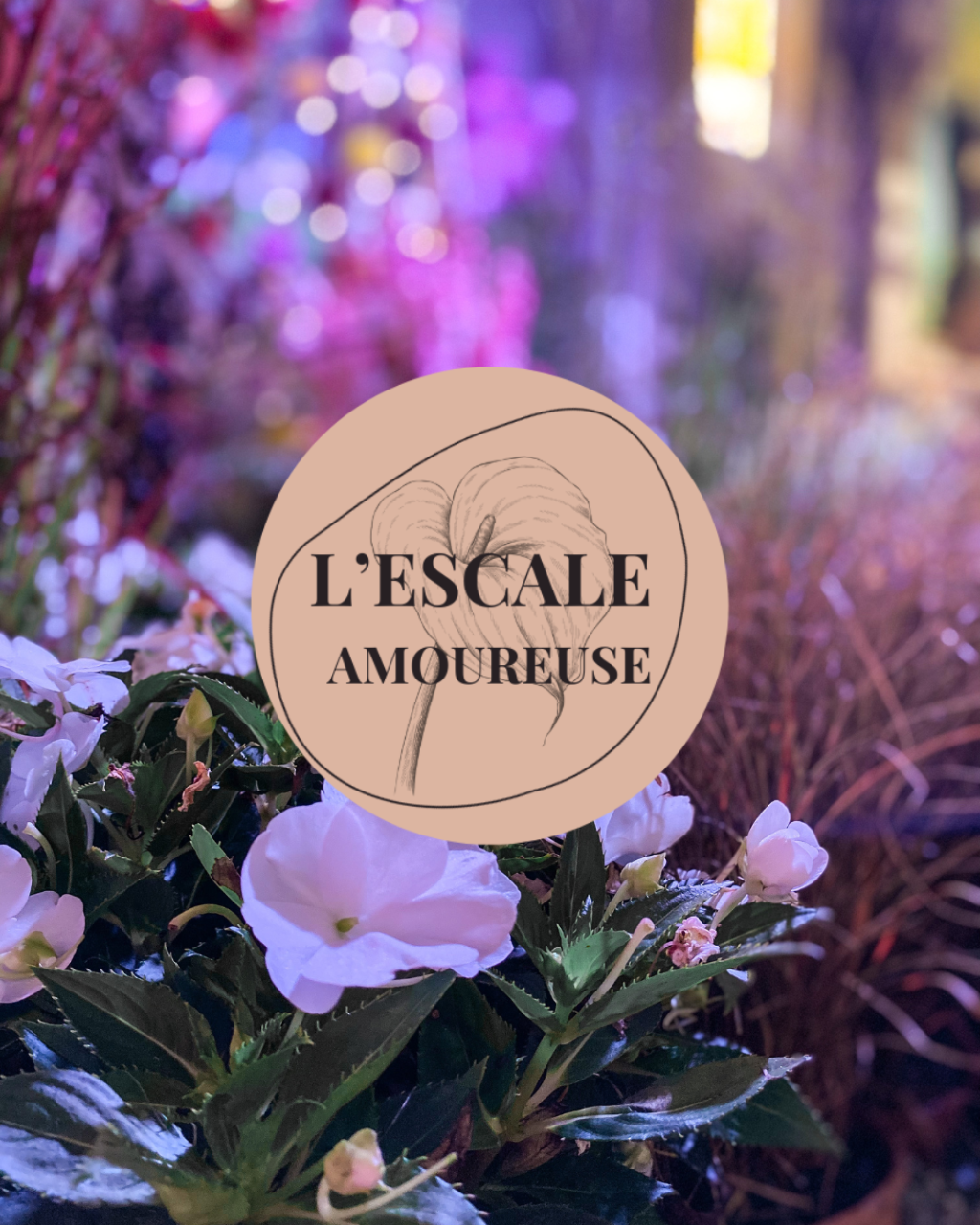 Je vous présente… l&rsquo;Escale&nbsp;Amoureuse