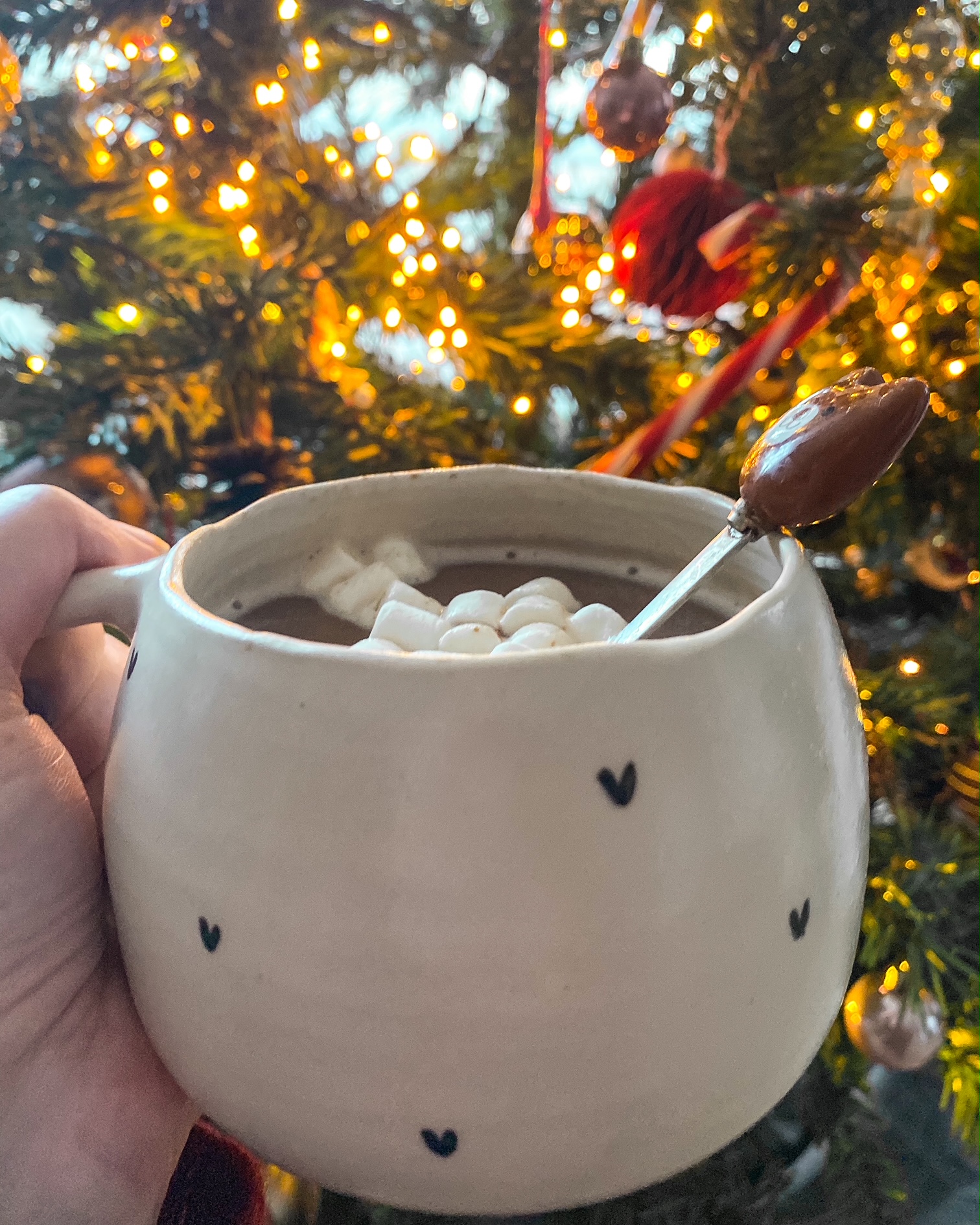 Décoration de Noël