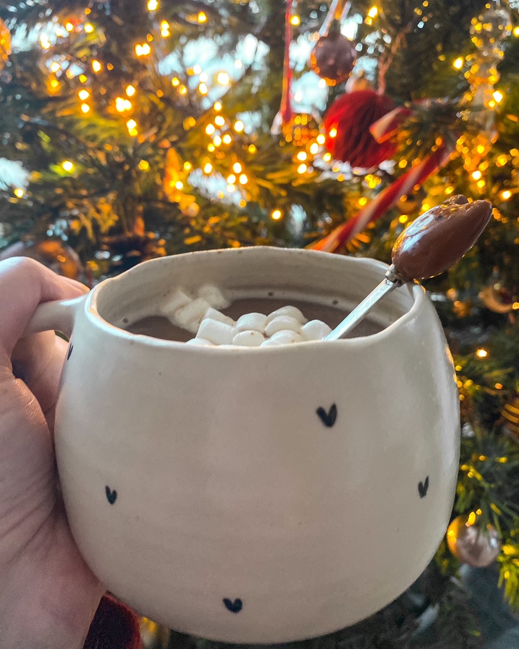 Décoration de Noël