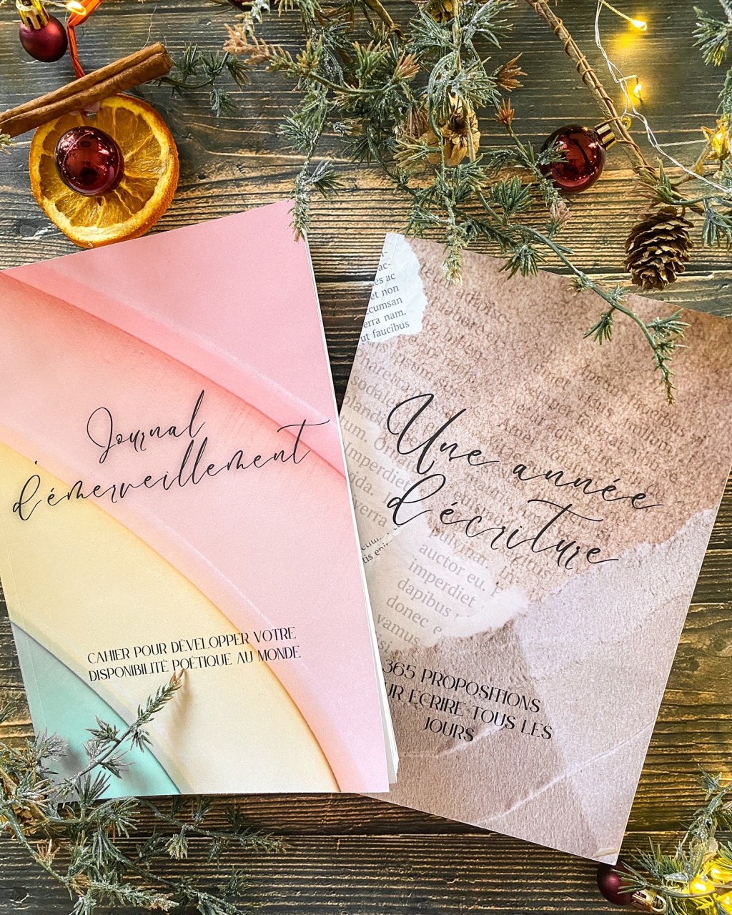 Et si vous mettiez mes livres sous le sapin ?