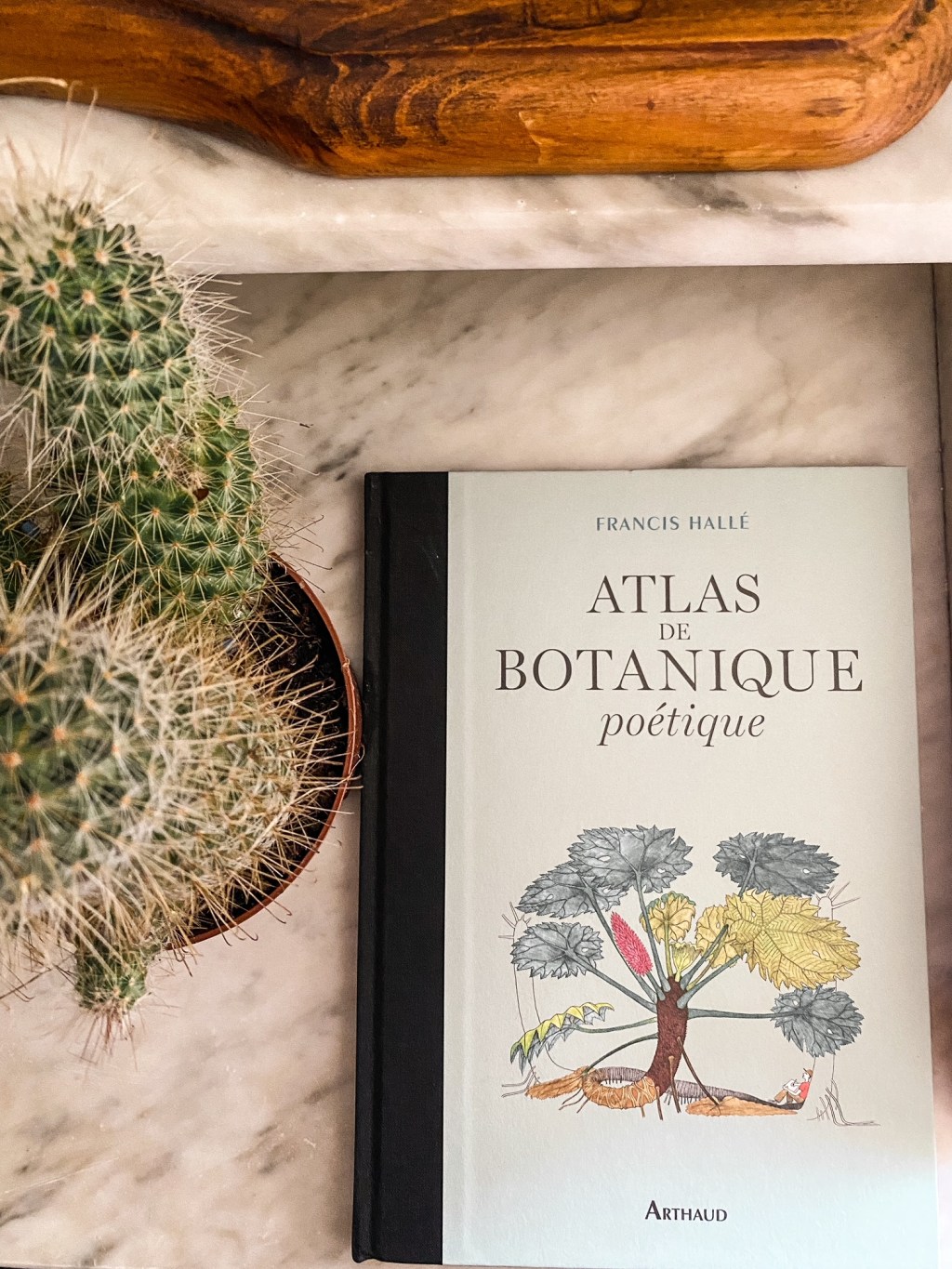 Atlas de botanique poétique, de Francis Hallé : toutes les merveilles de la&nbsp;nature